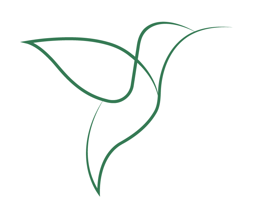 Hummingbird Logo