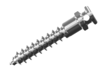 Mini Screws
