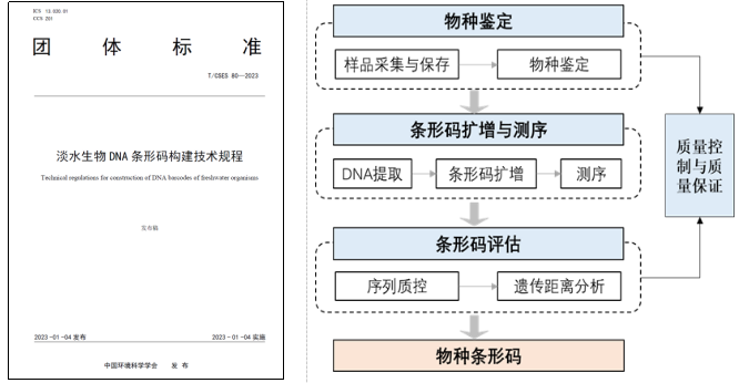 淡水生物DNA条形码构建技术规程流程图