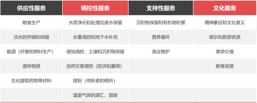 湿地生态系统服务价值