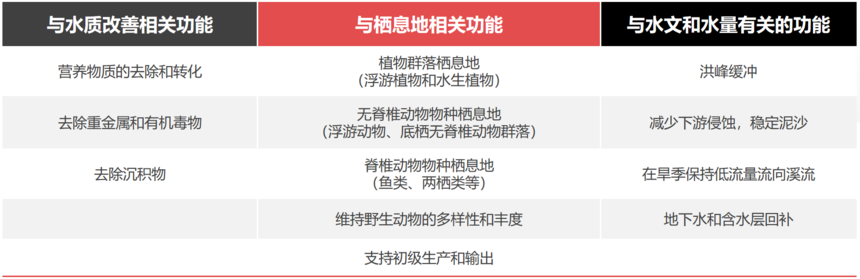 湿地生态系统功能价值