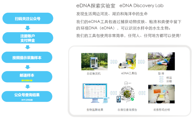 环境DNA公民科学生物多样性监测过程