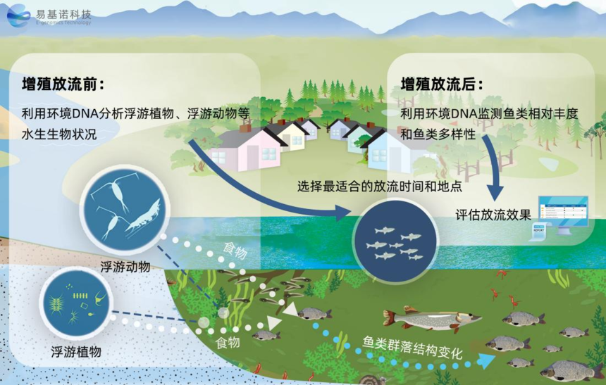 增殖放流前后环境DNA技术应用示意图