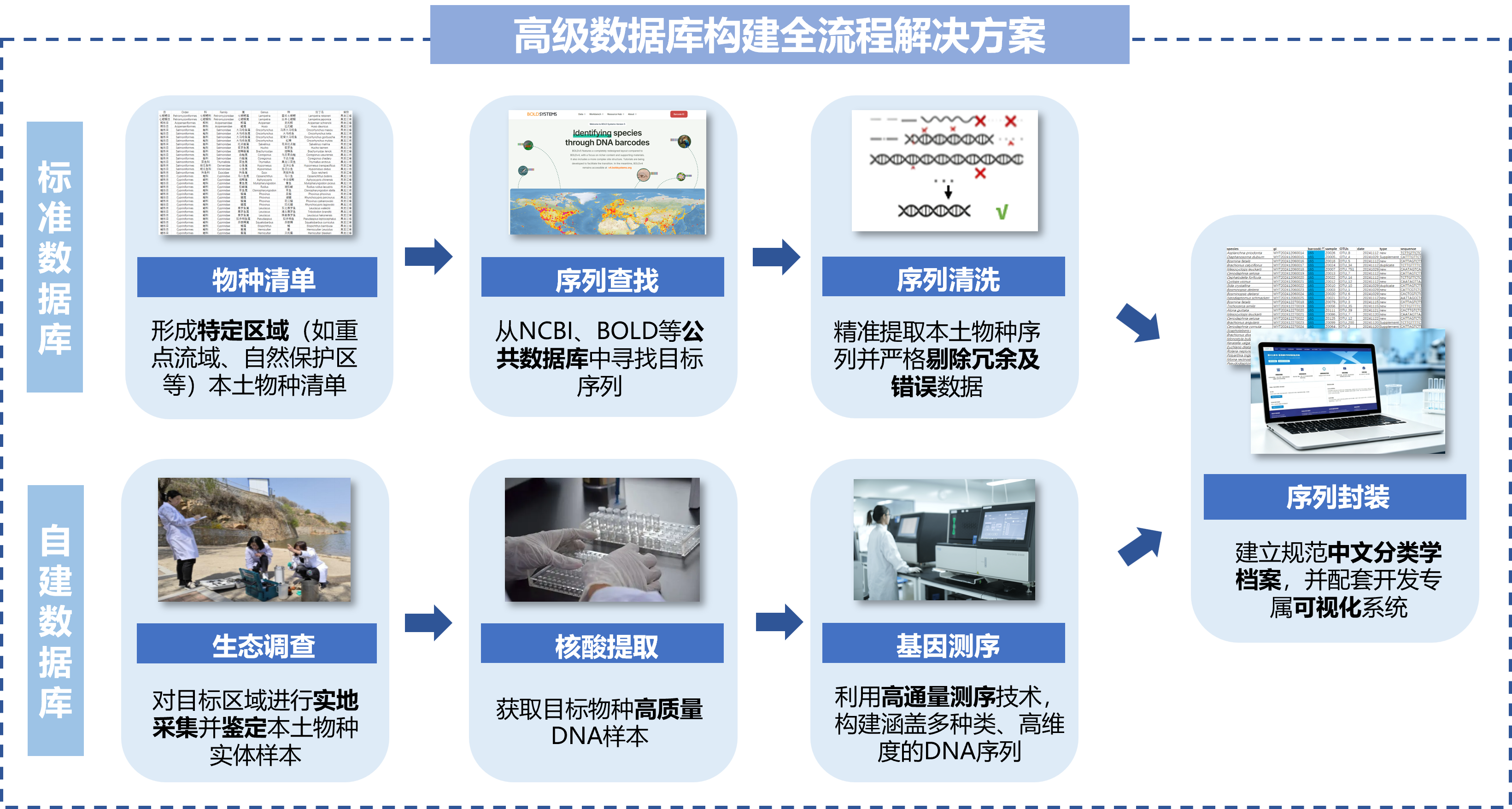 高级数据库构建技术路线