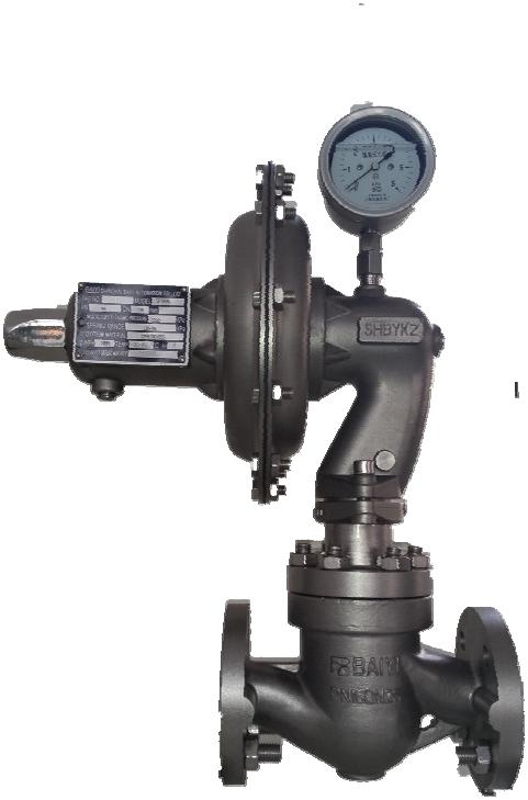 Inert Gas Protection System