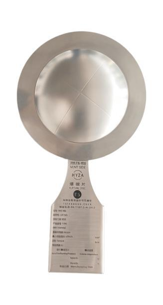 Concave Grooved Bursting Disc (LC)