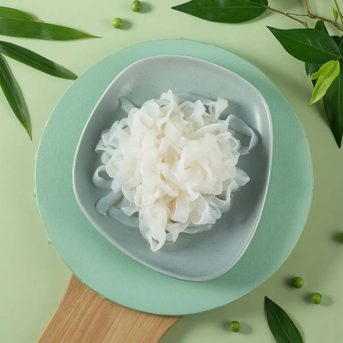 Dried and fresh konjac noodles on plate - comparison for B2B buyers - Ransider konjac supplier