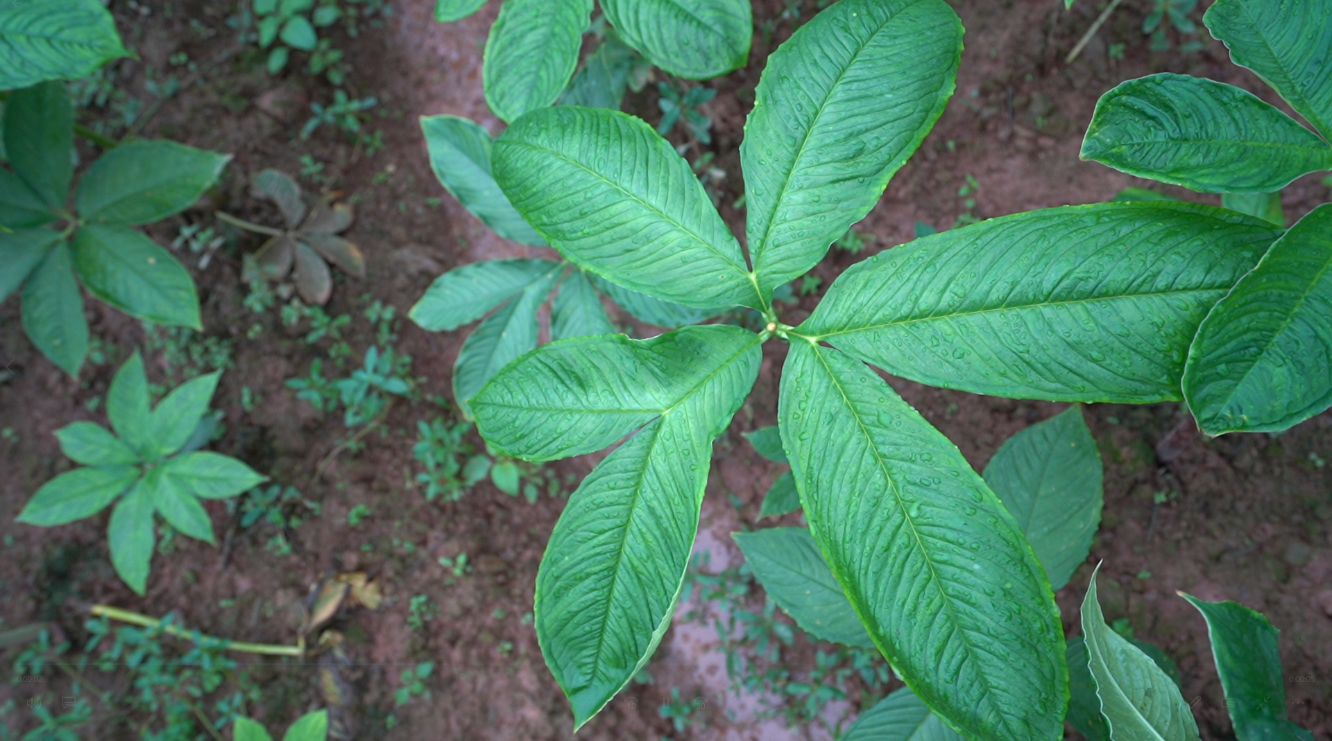 Sustainable Farming