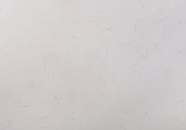 SKD8