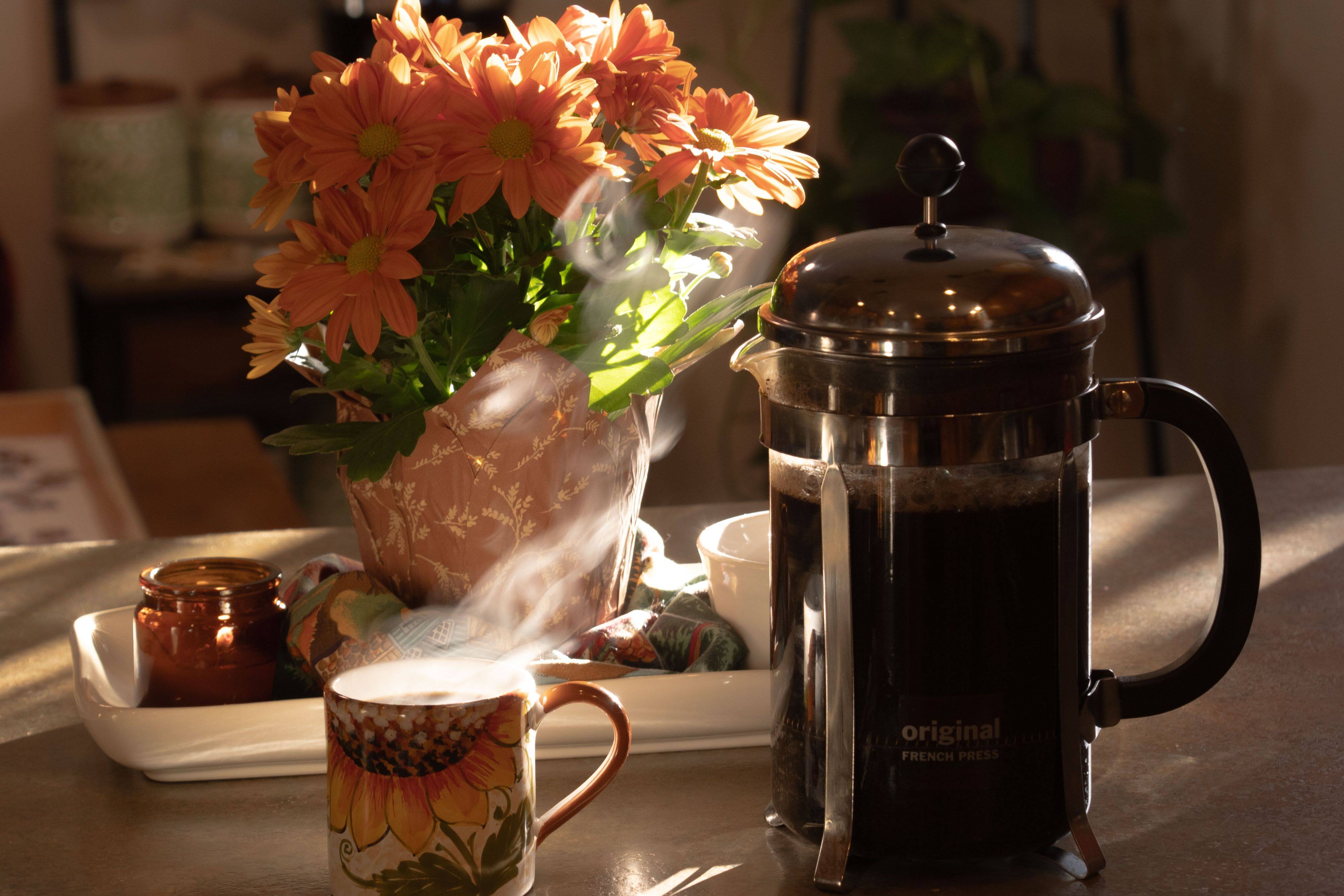 Tips for Using a French Press