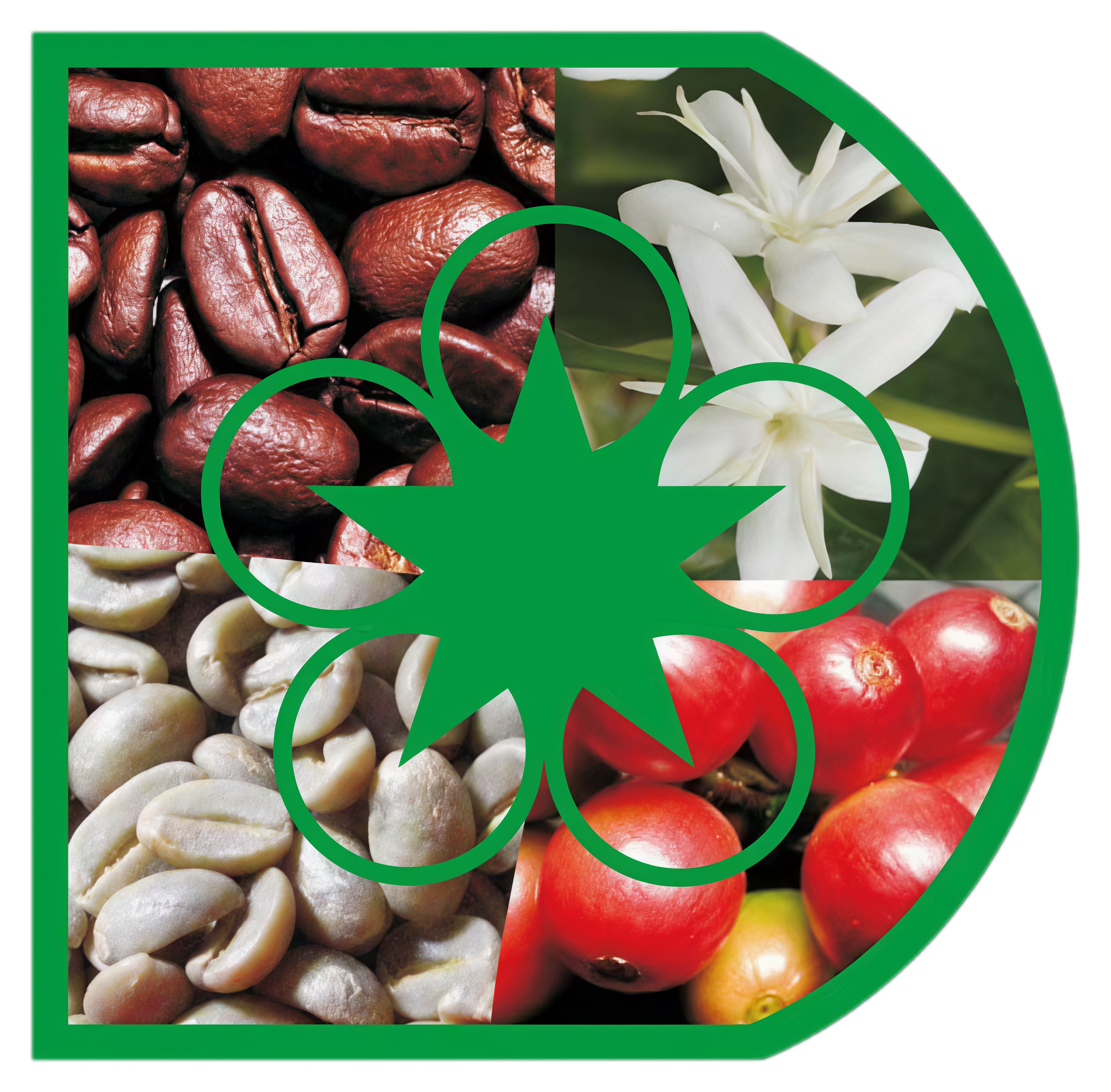 Donghong Gaoligong Coffee