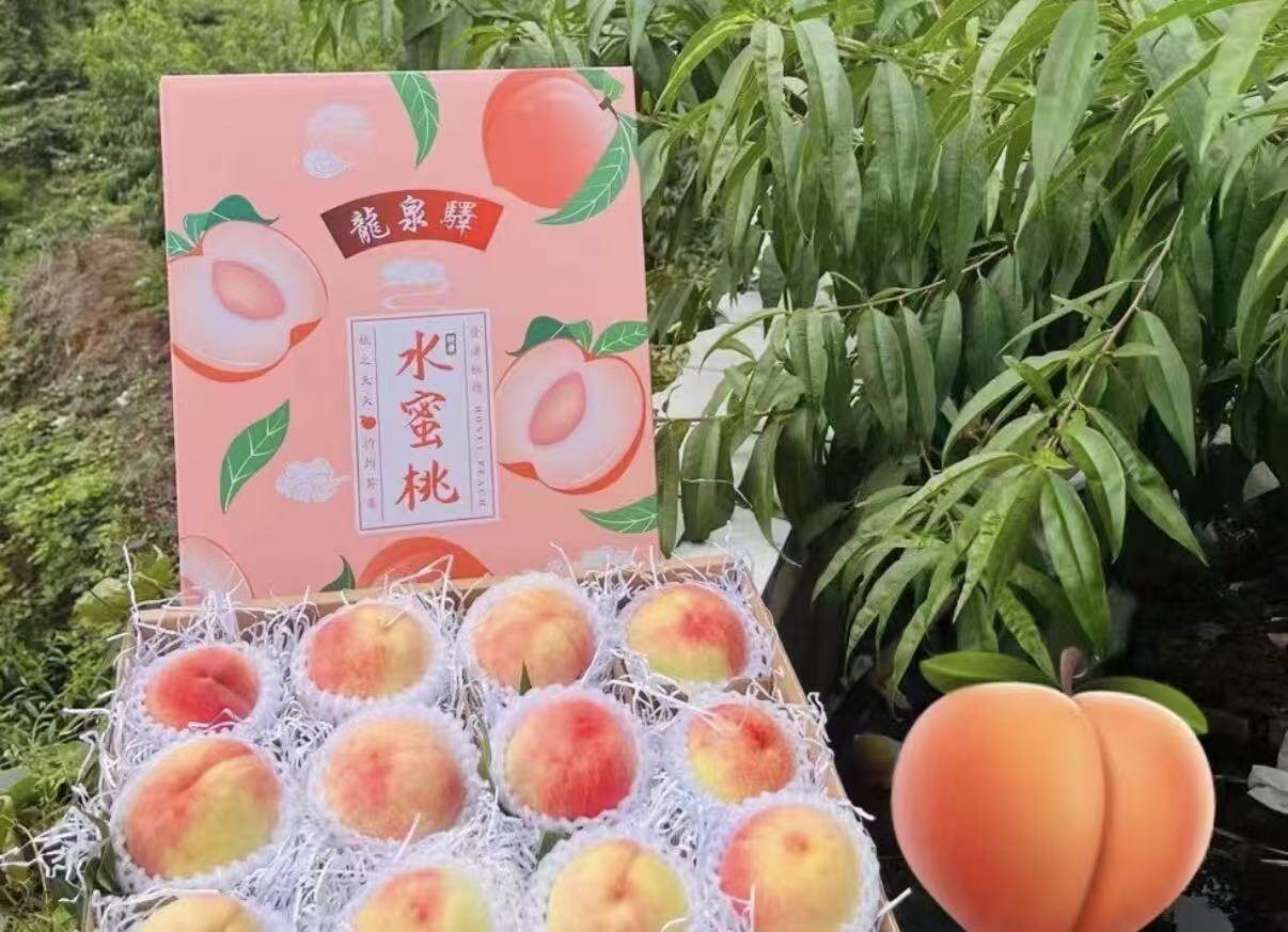 礼盒包装细节