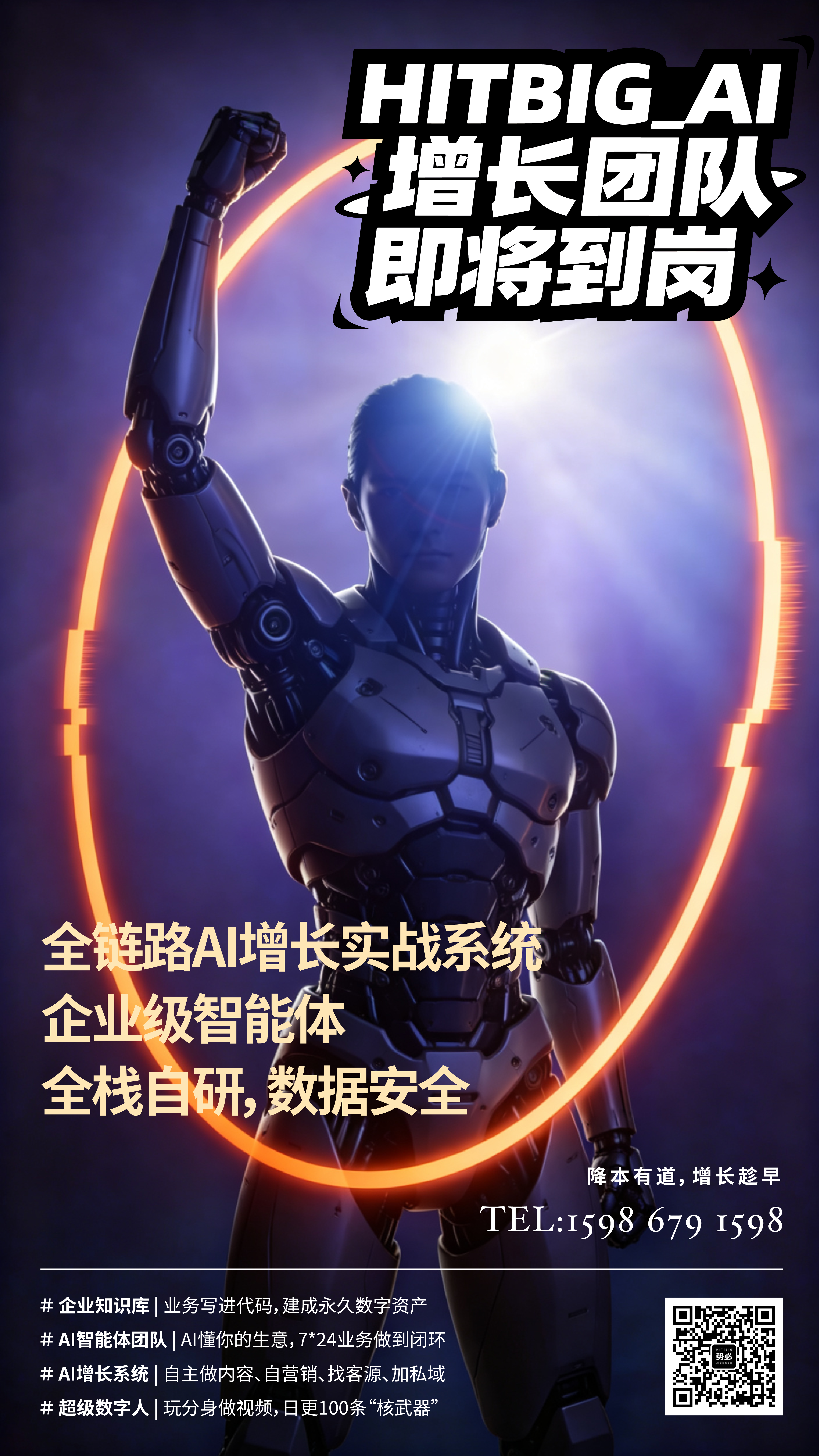 AI 系统适配及定制