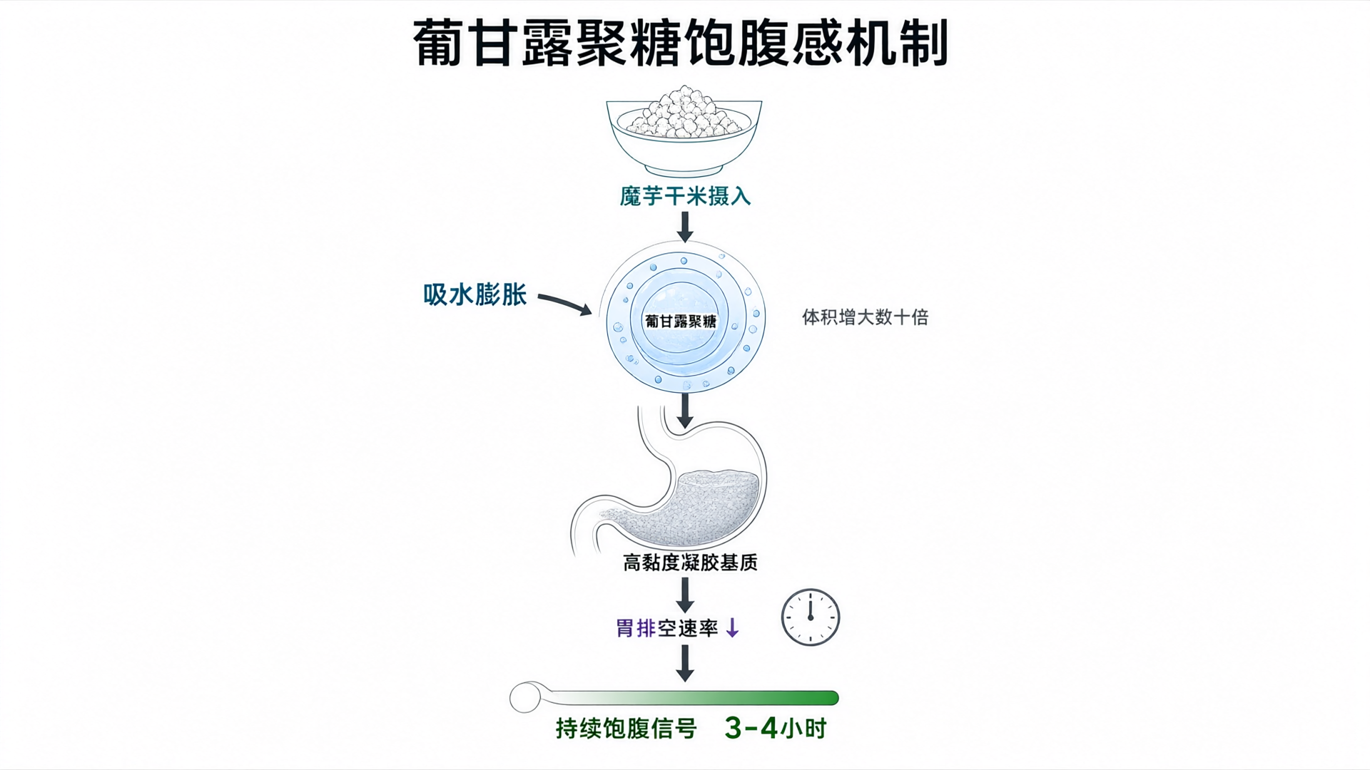 Glucomannan satiety mechanism diagram