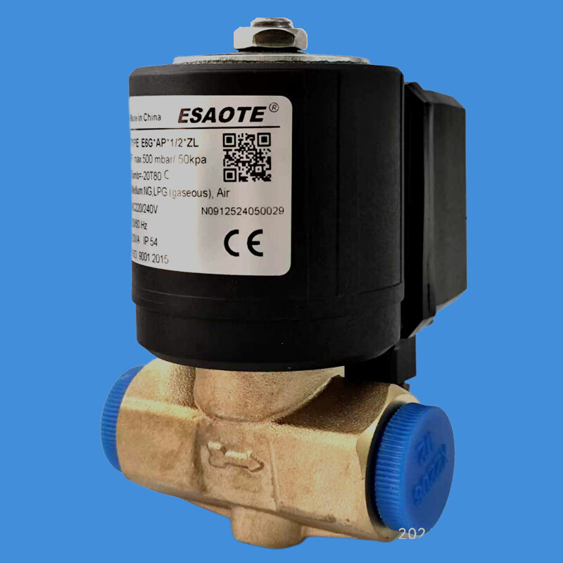 E6G 燃气专用电磁阀