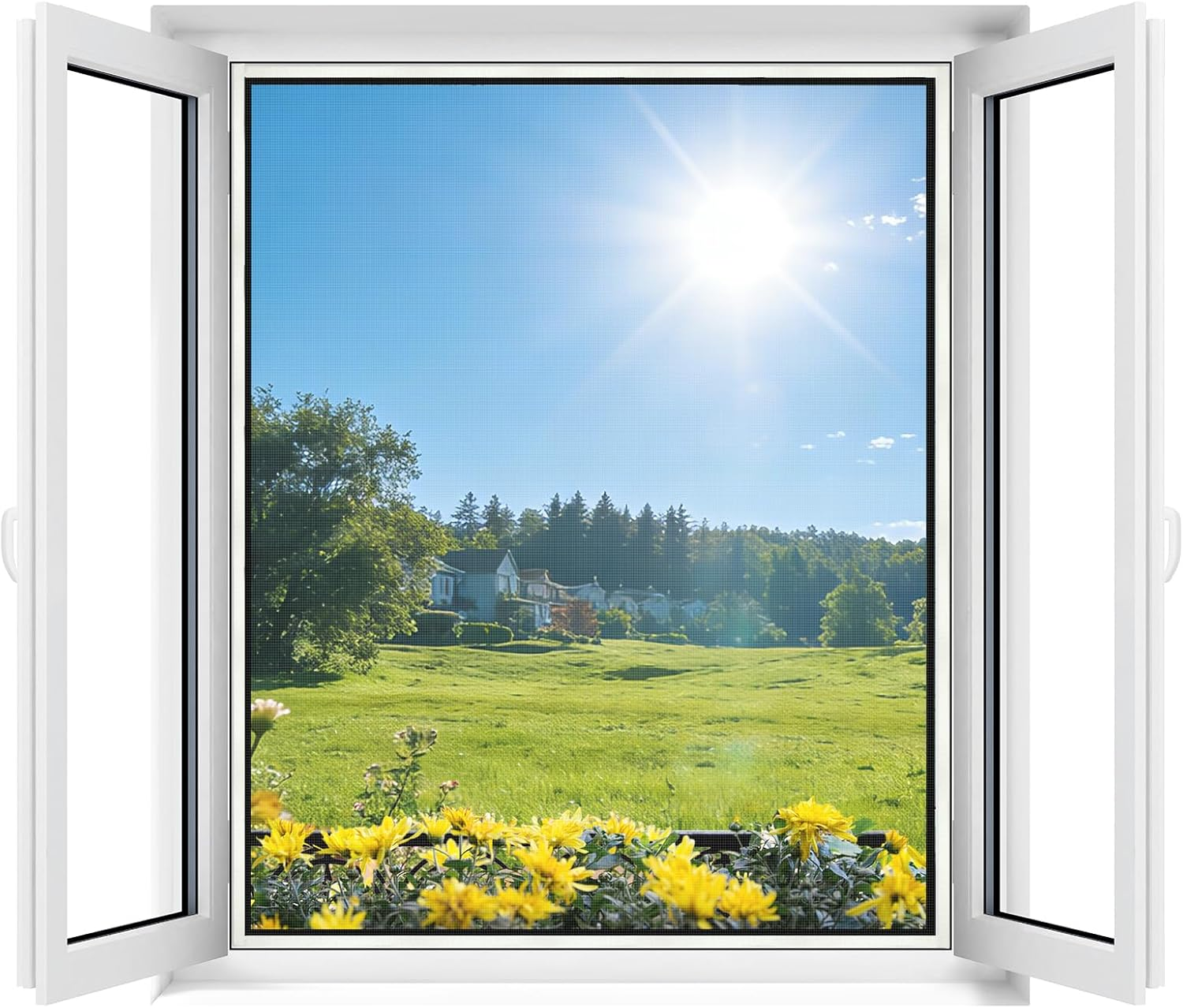 Window Screen