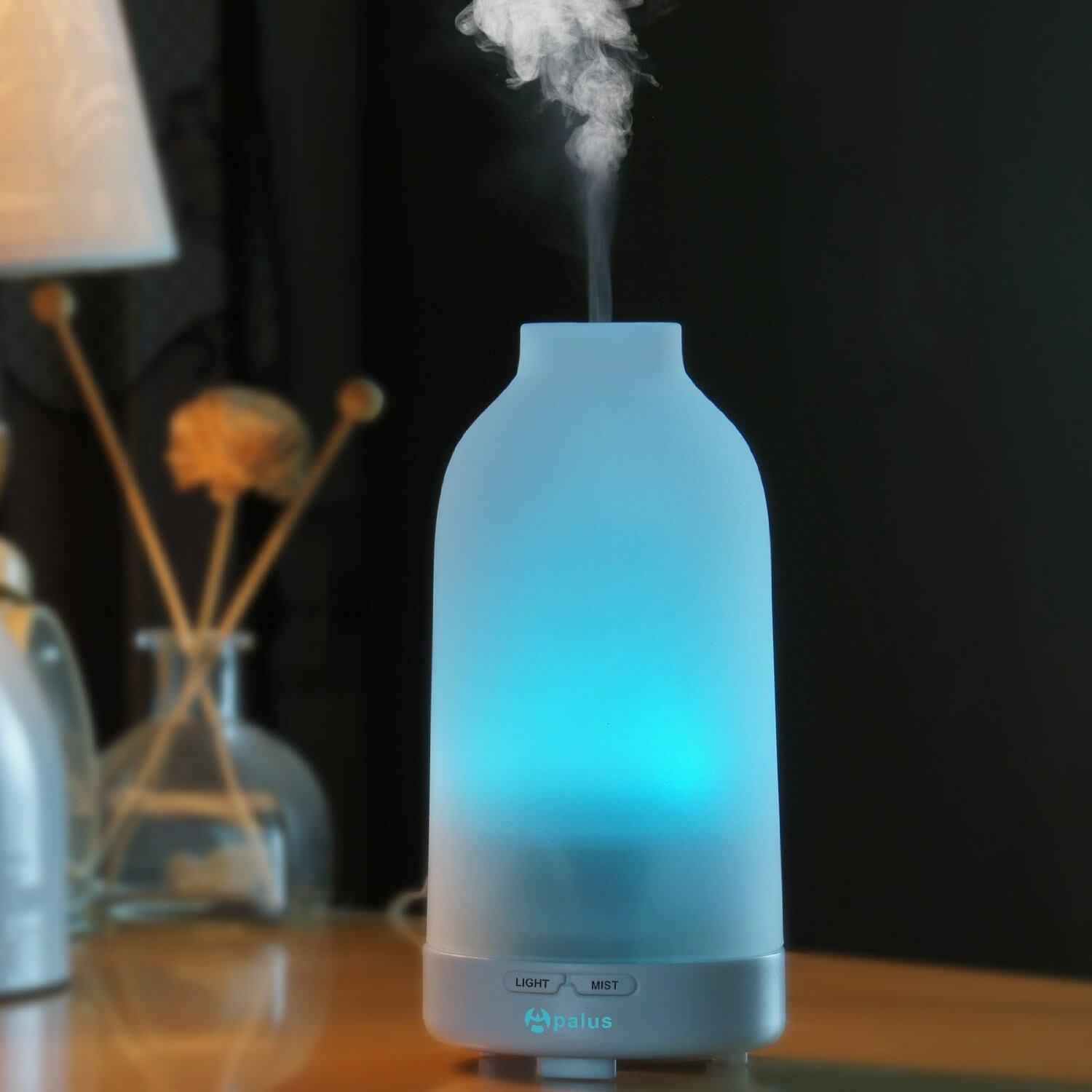 100 ML Glass Essential Oil Diffuser