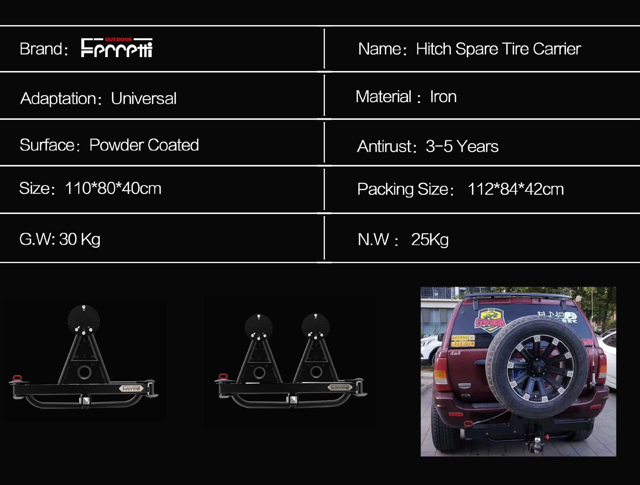Hitch Tire Carrier F10 3