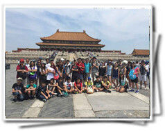 Palace Museum Group