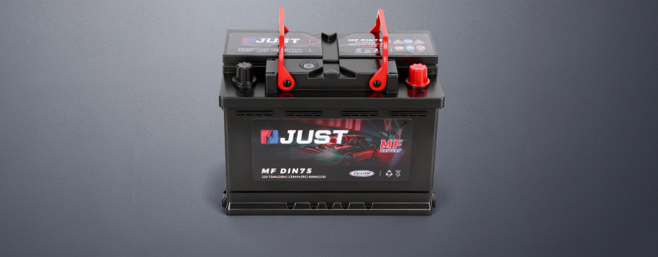 Automotive Batteries