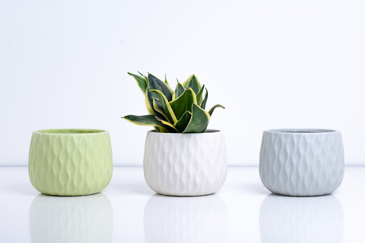 Ceramic Pot