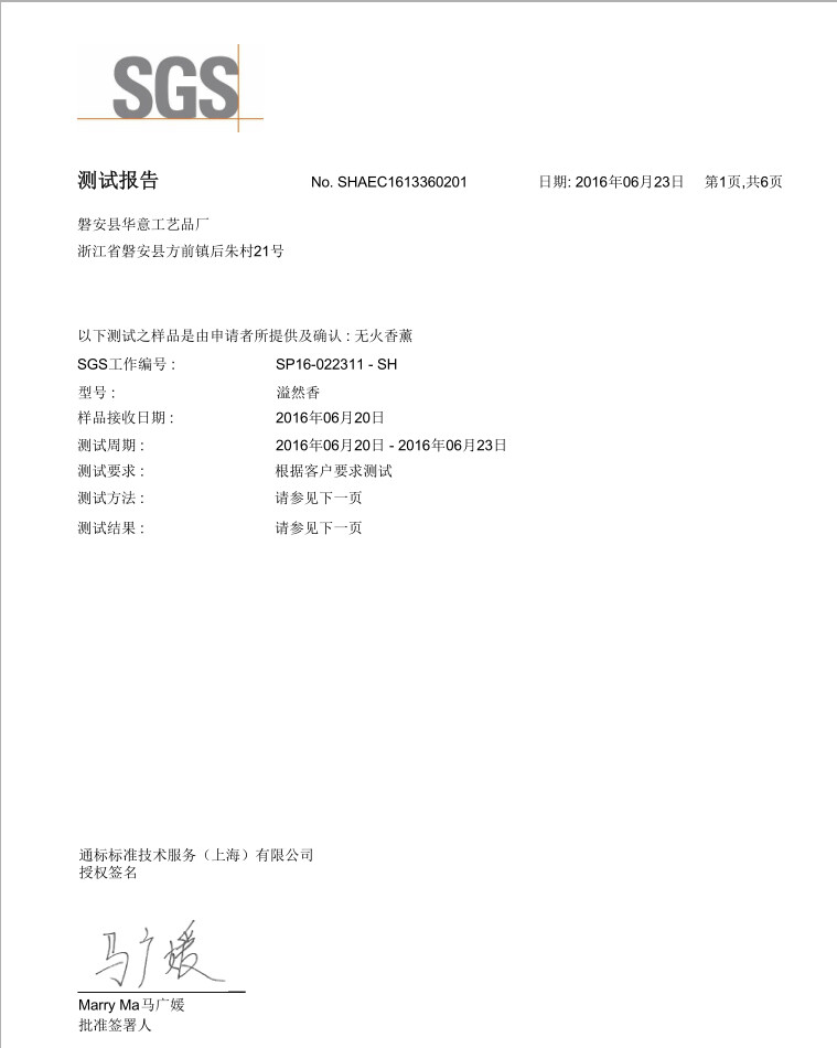 SGS Test Report