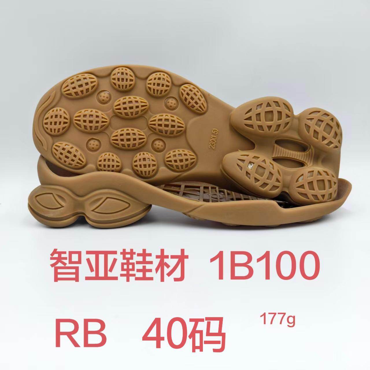 1B100 2