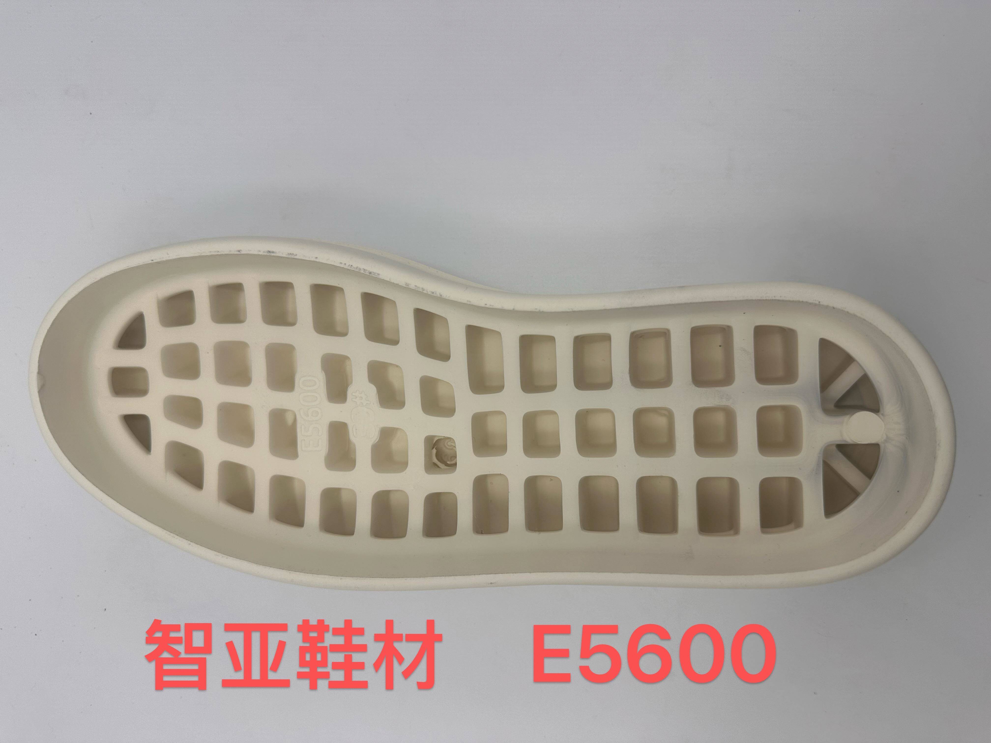 E5600 2