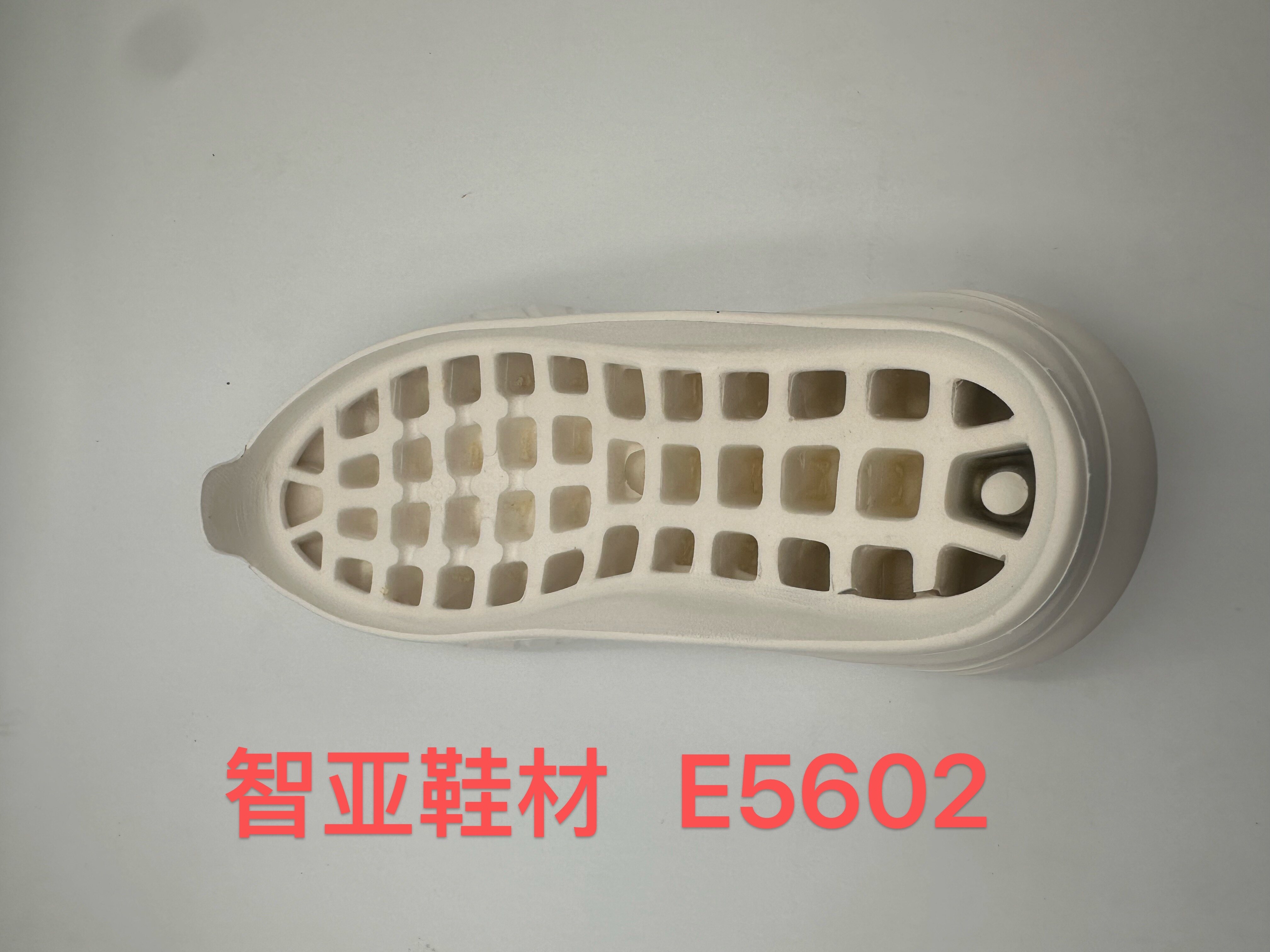 E5602 2