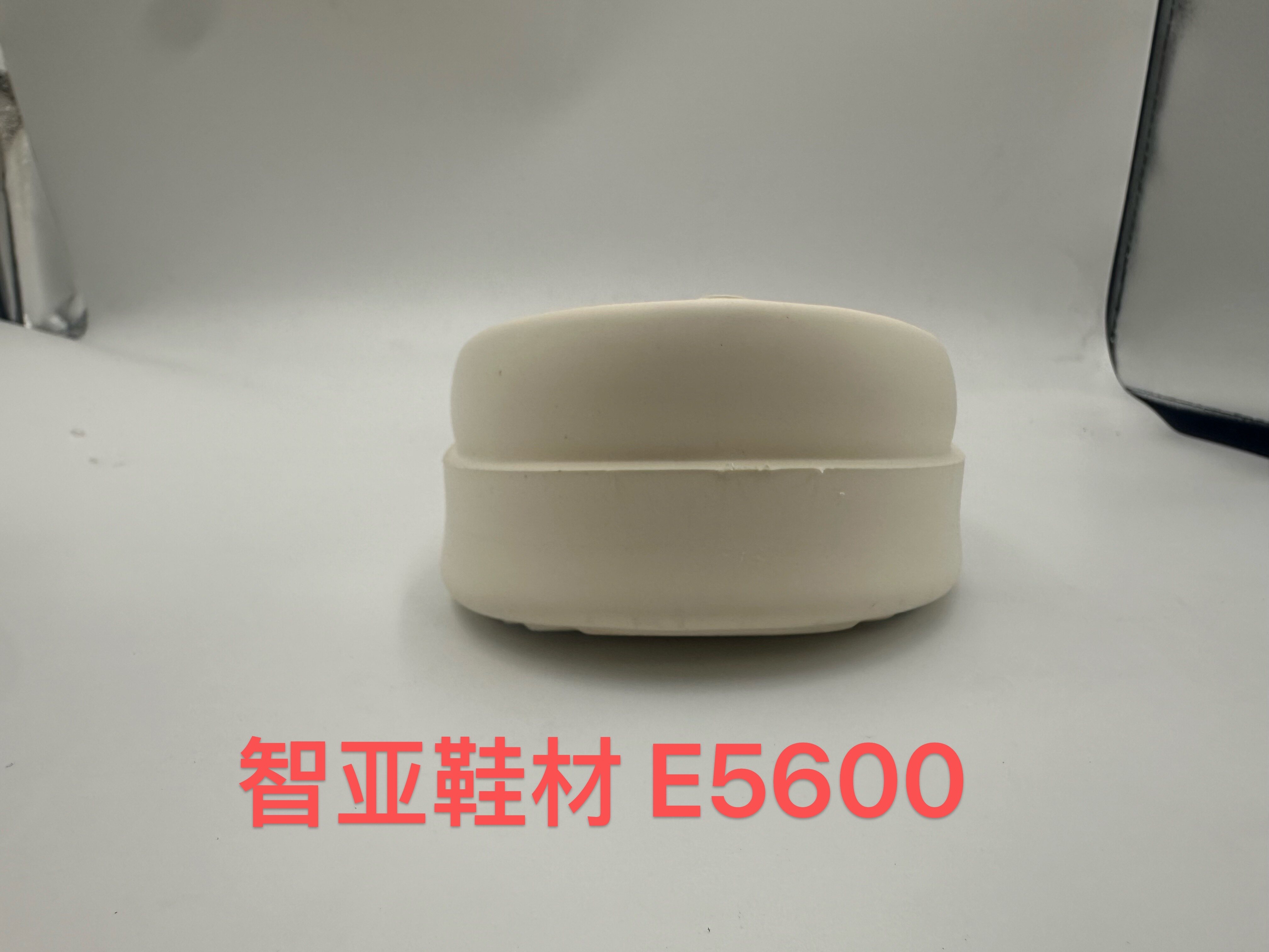 E5600 2