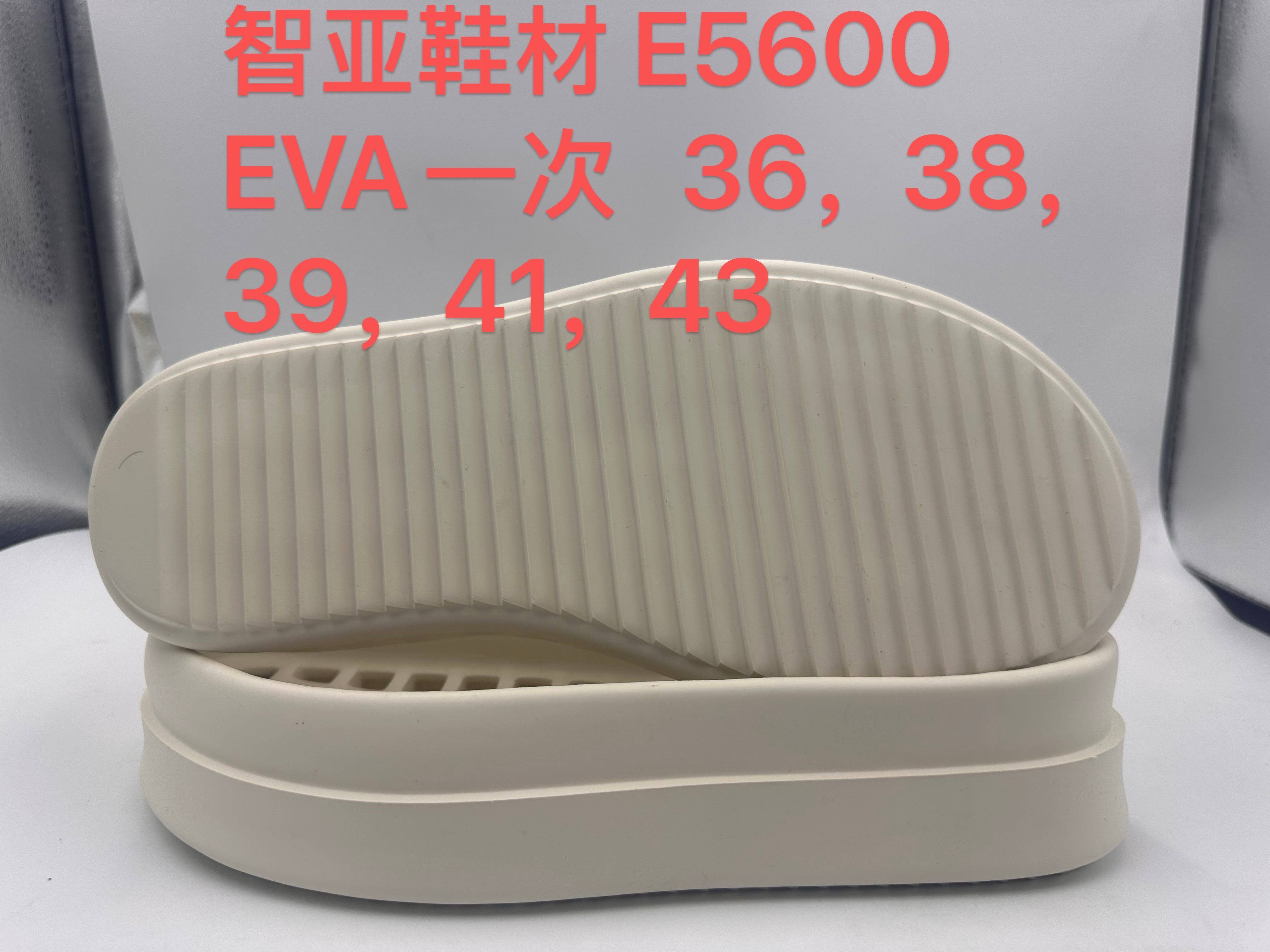 E5600