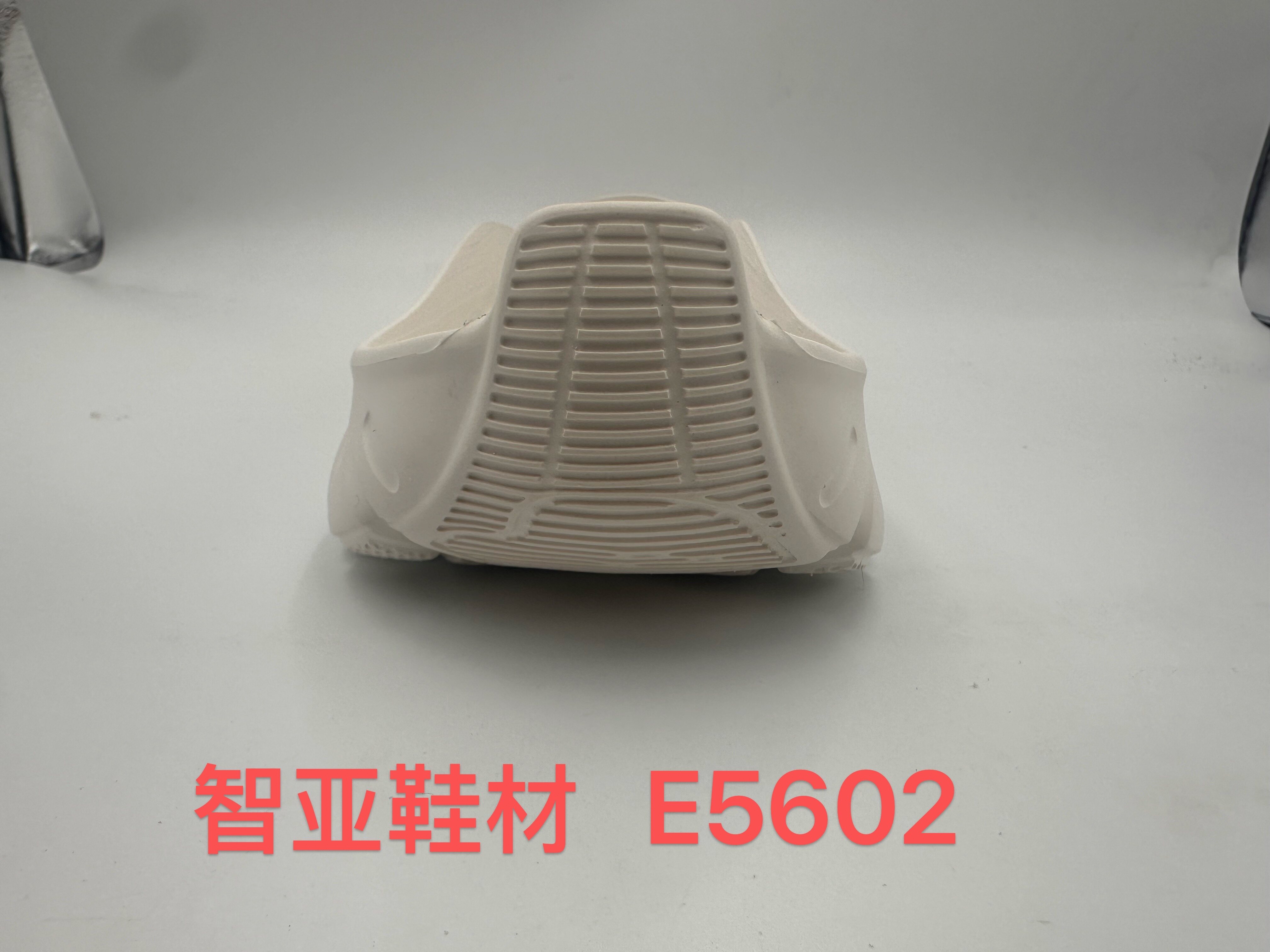 E5602 3