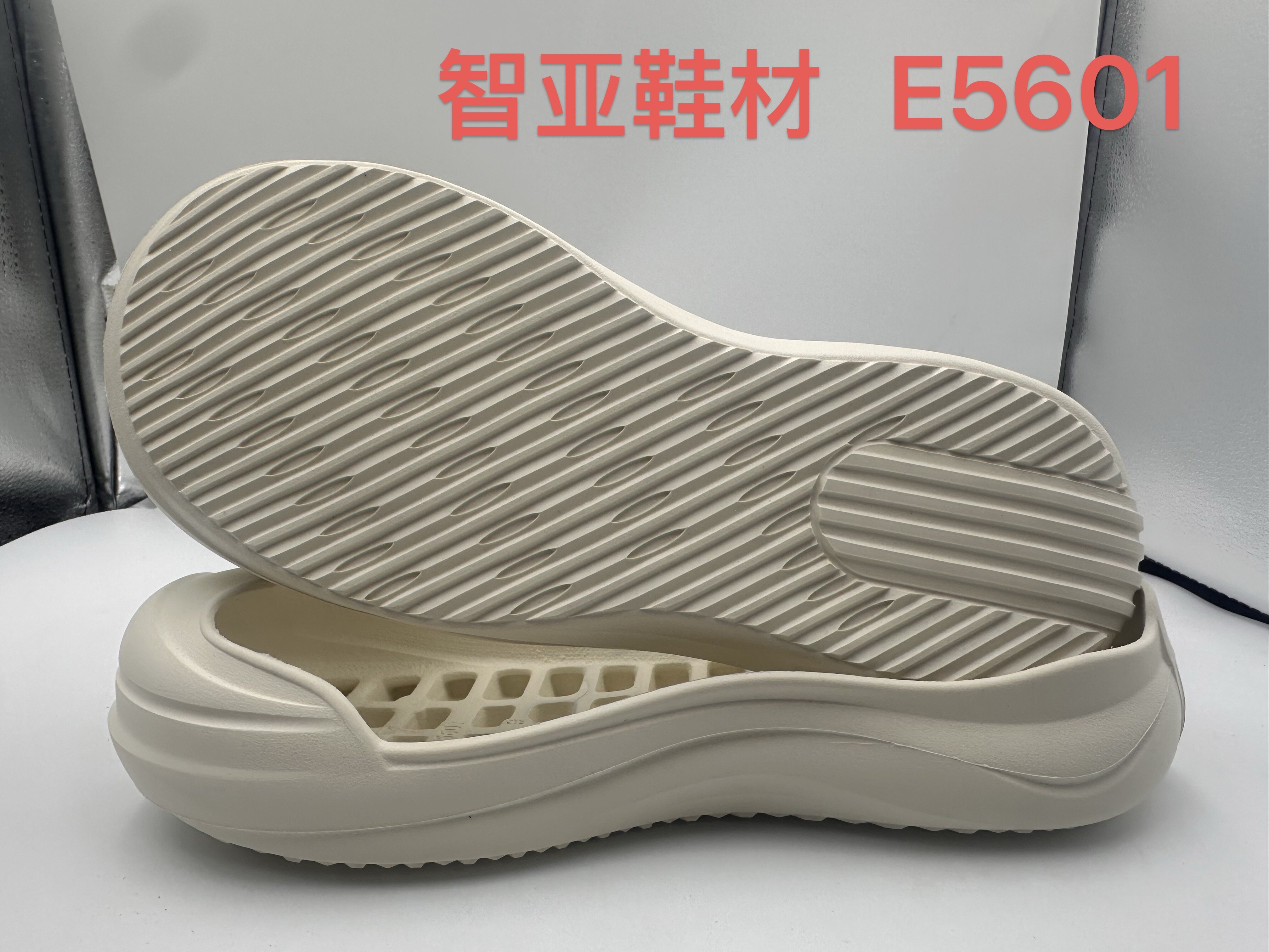 E5601