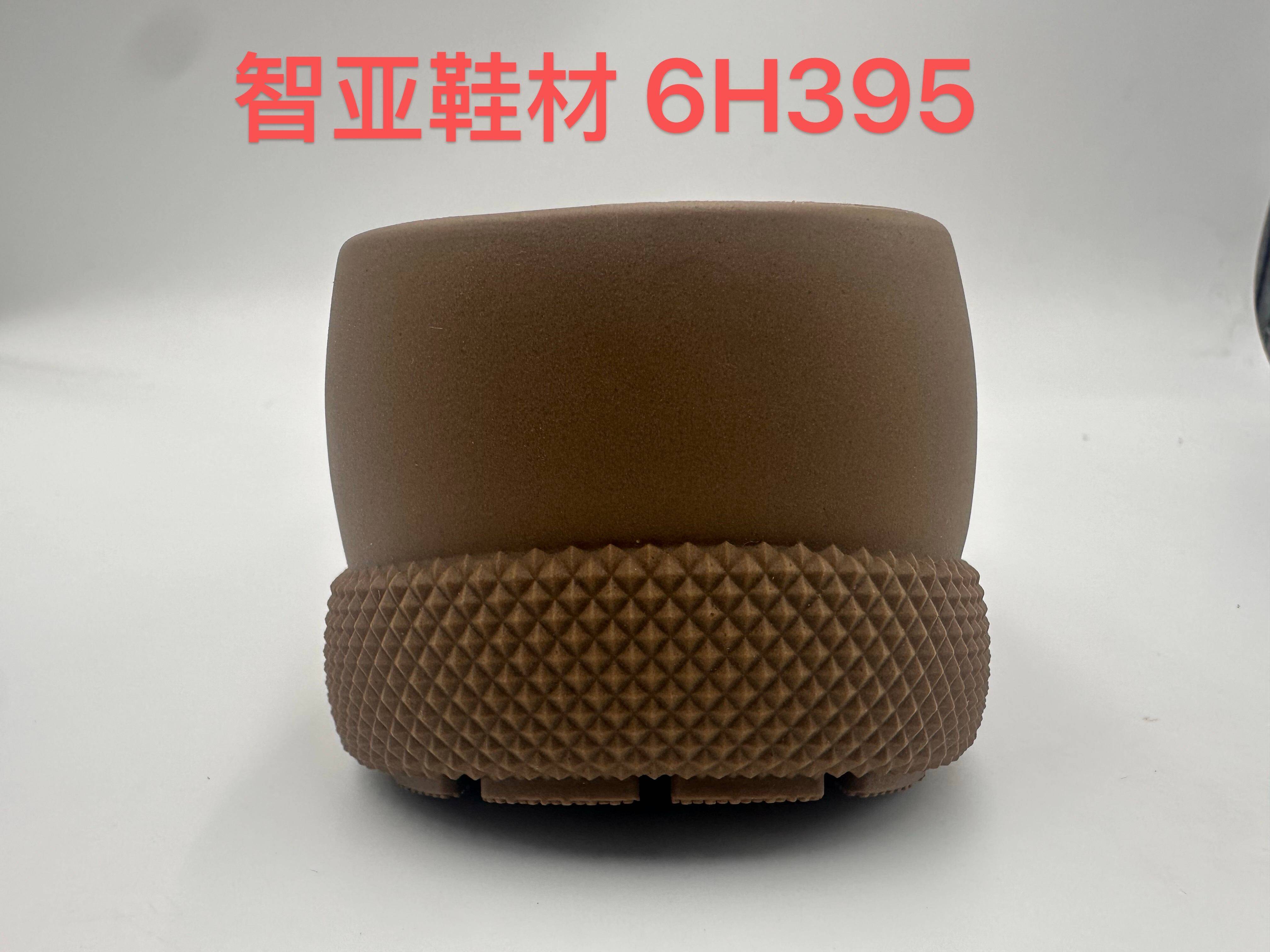 6H395 4