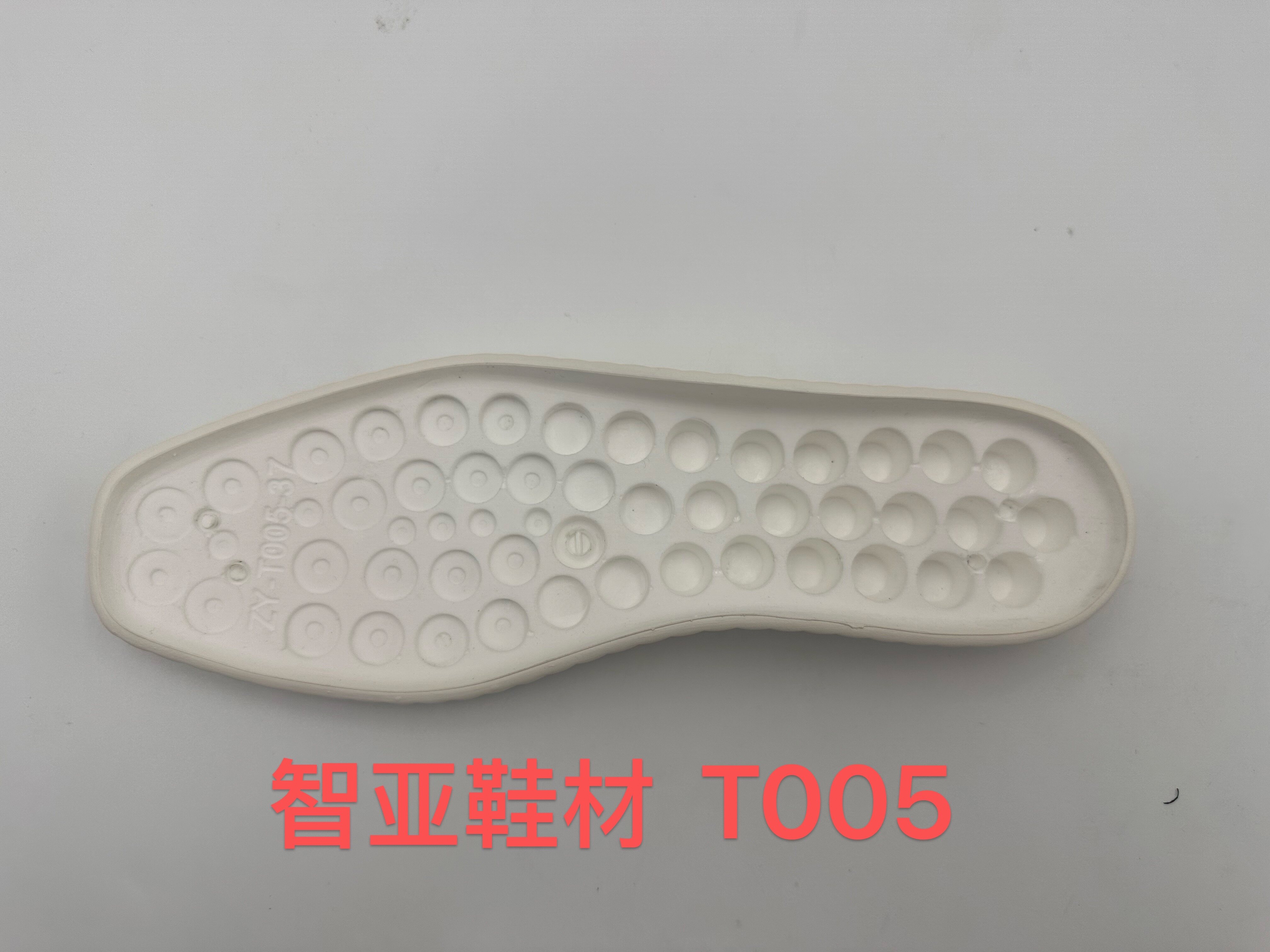 T005 2