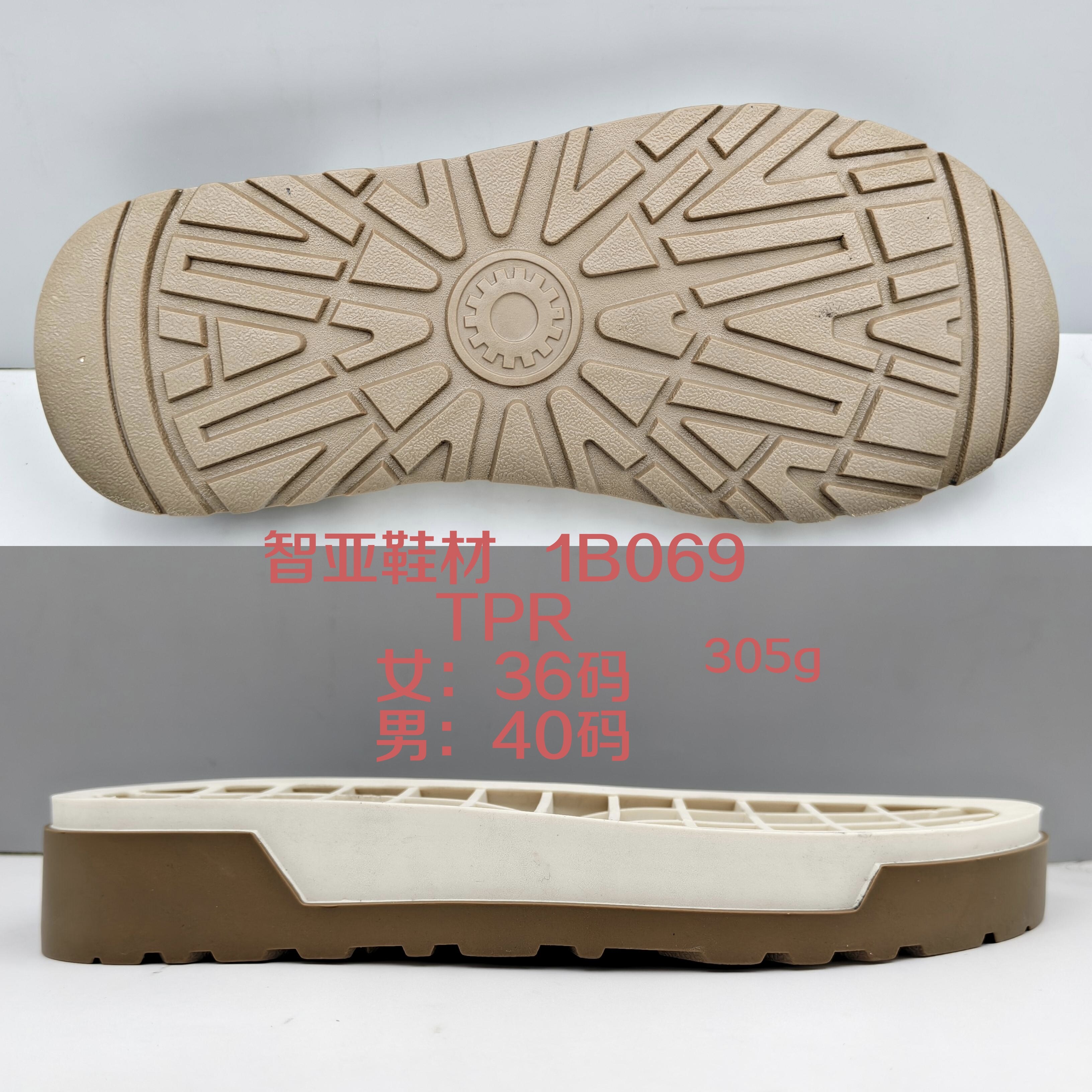 1B069
