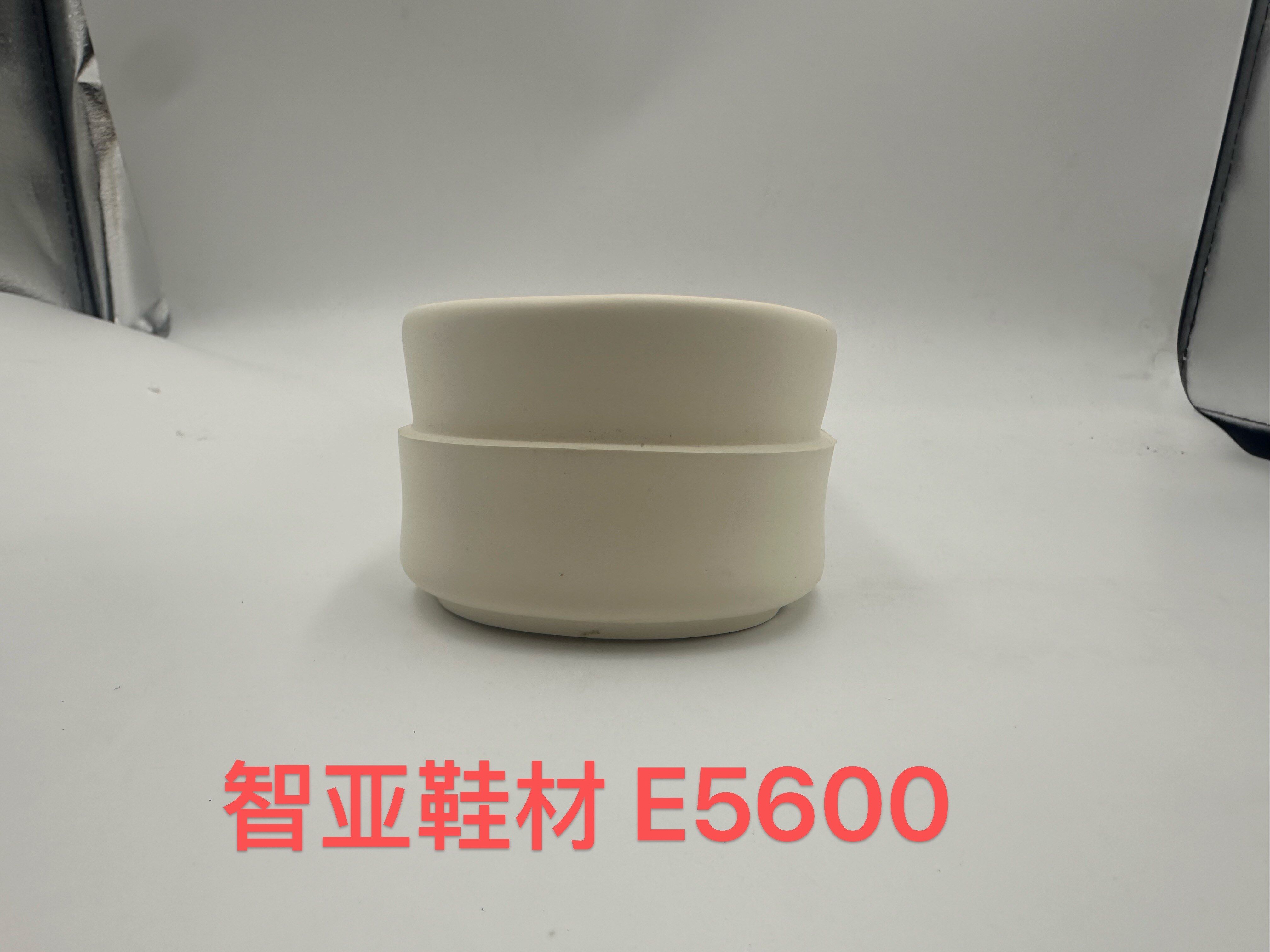E5600 4