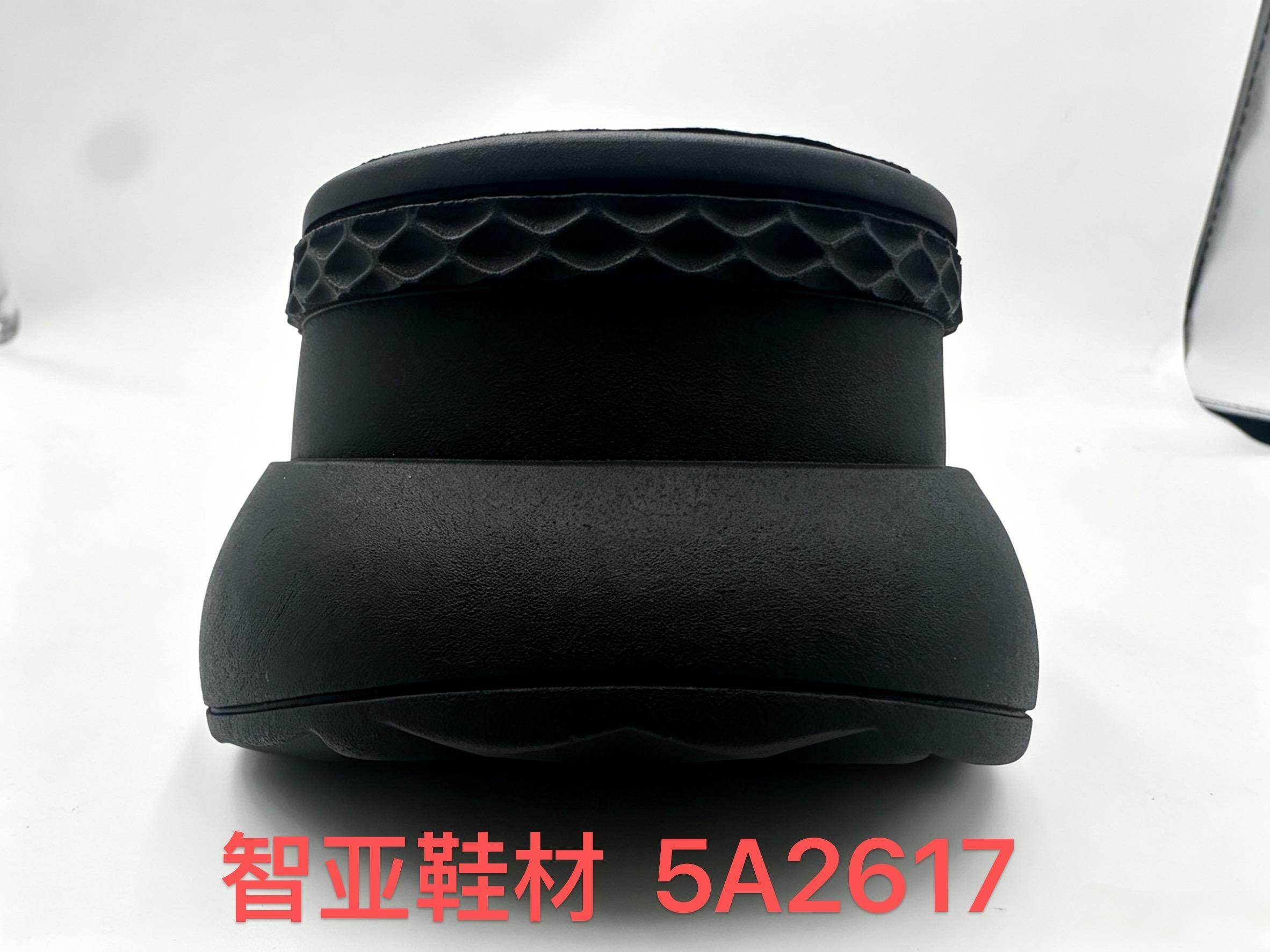 5A2617 4