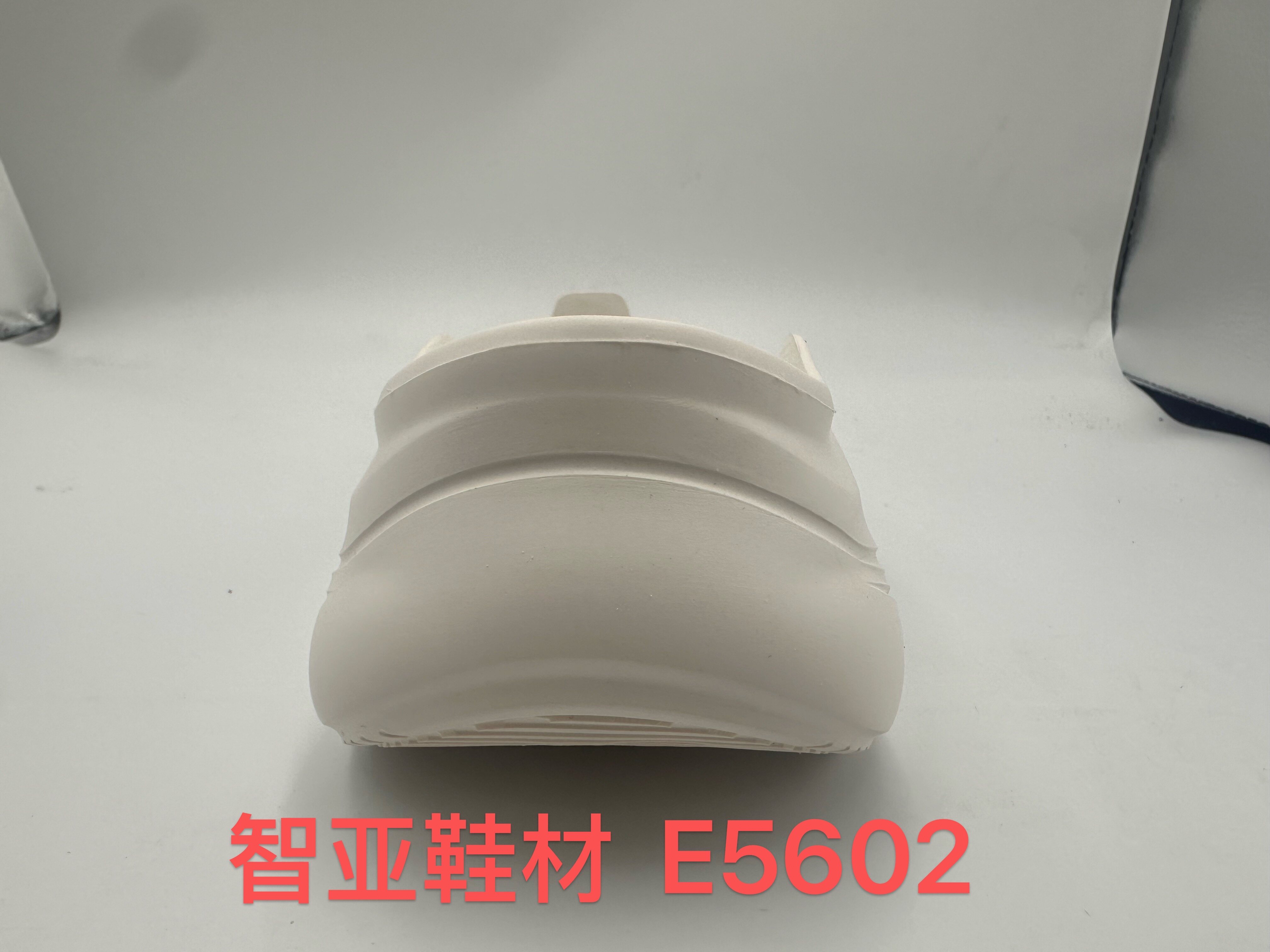 E5602 4