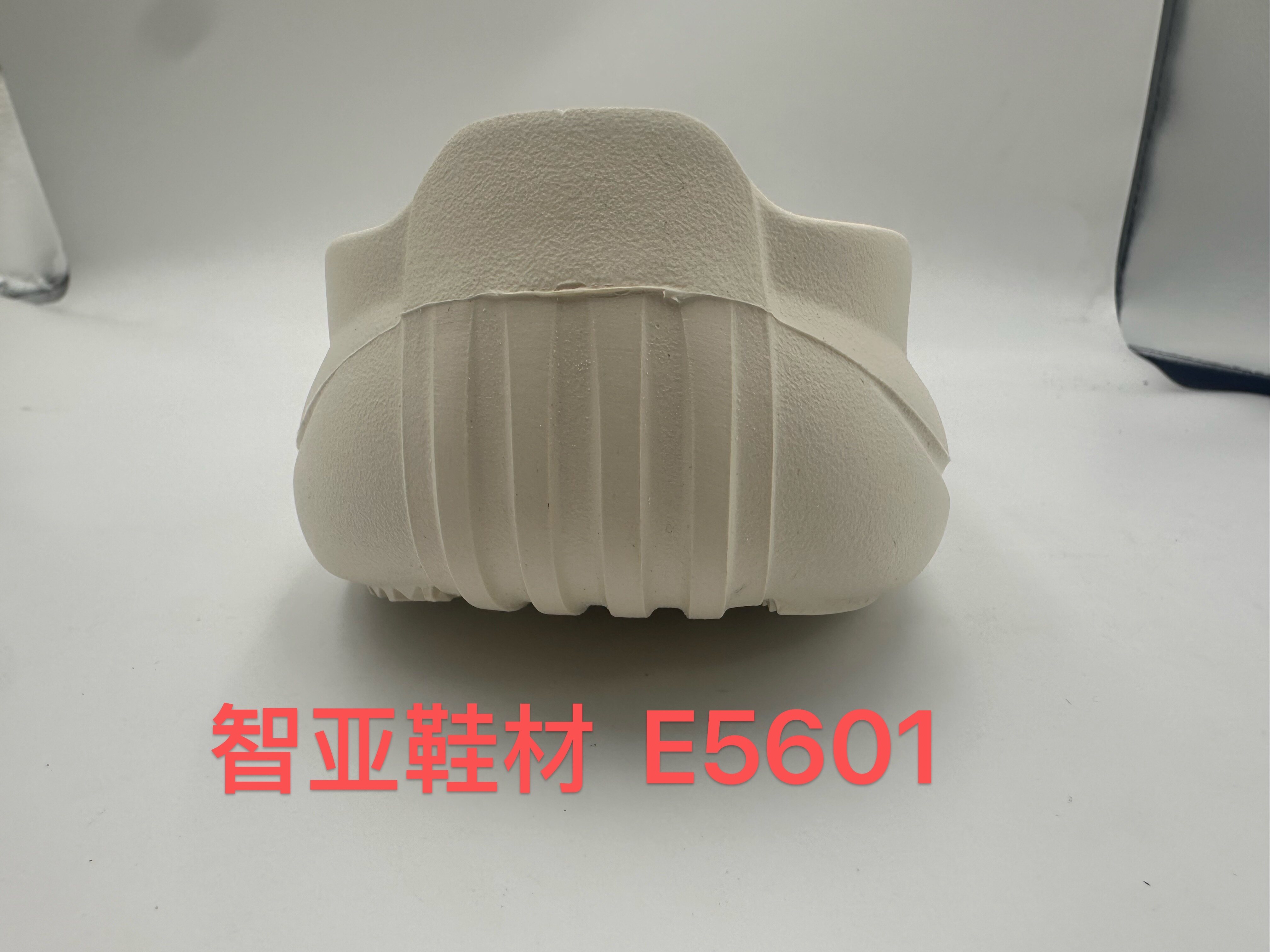 E5601 4