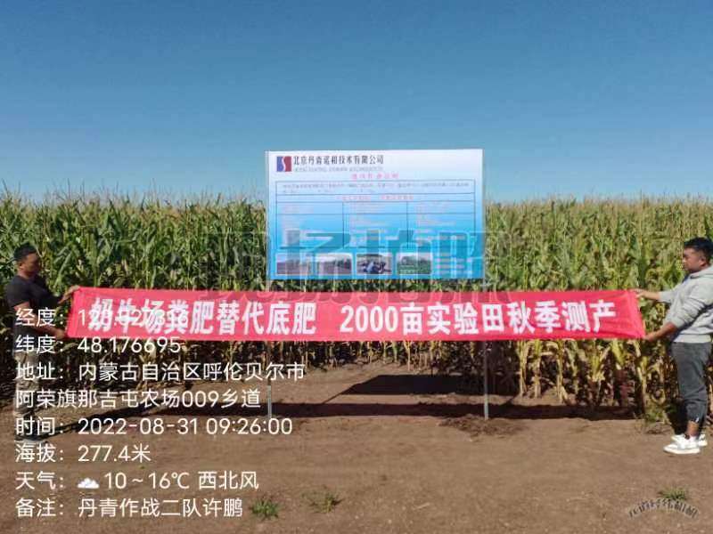 Corn field yield measurement experiment in Inner Mongolia