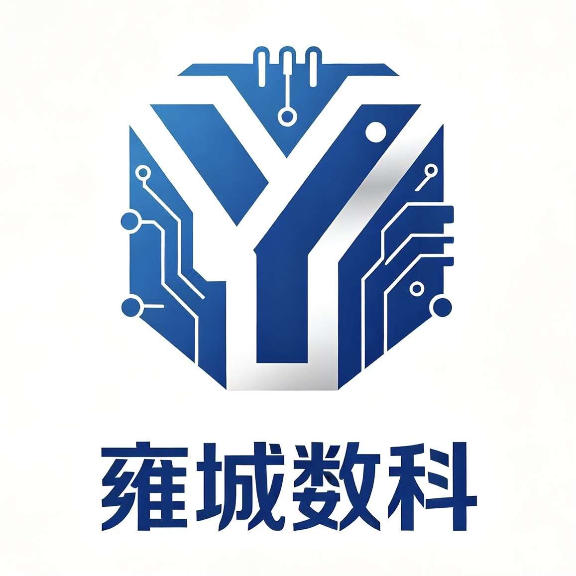 雍城数科
