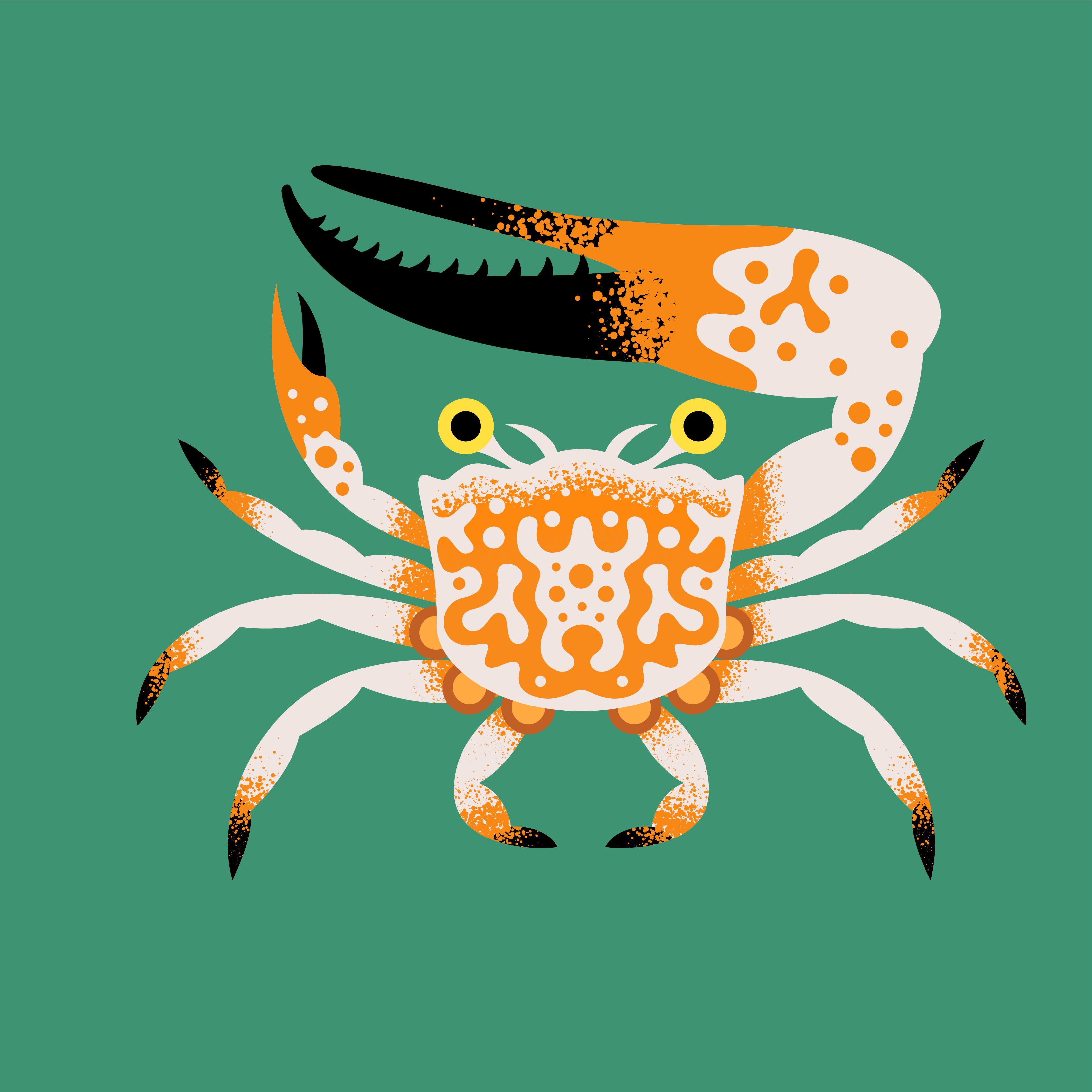 Orange Hermit Crab