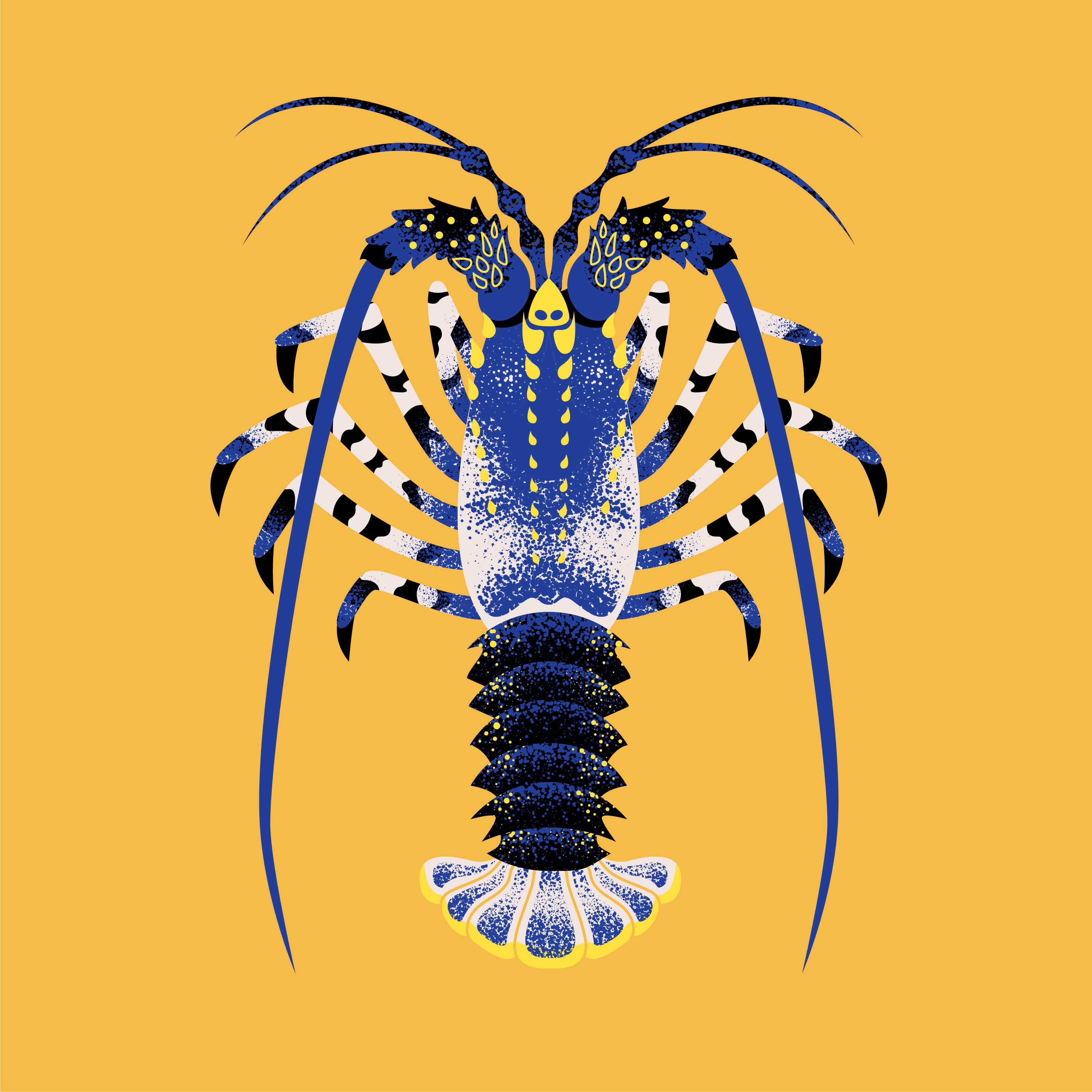 Blue Centipede