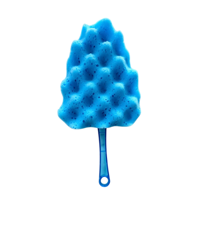 Car Wash Sponge Brush