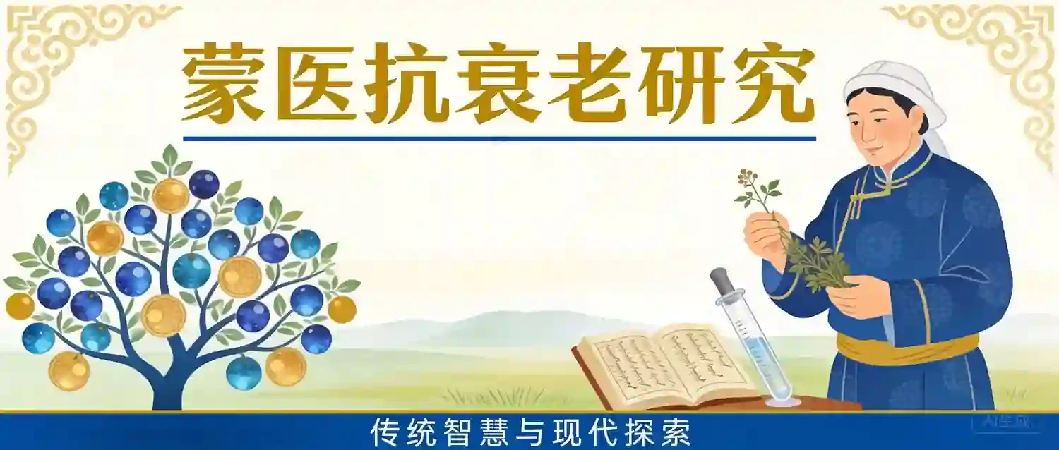 蒙医抗衰老研究：传统智慧与现代探索的系统综述
