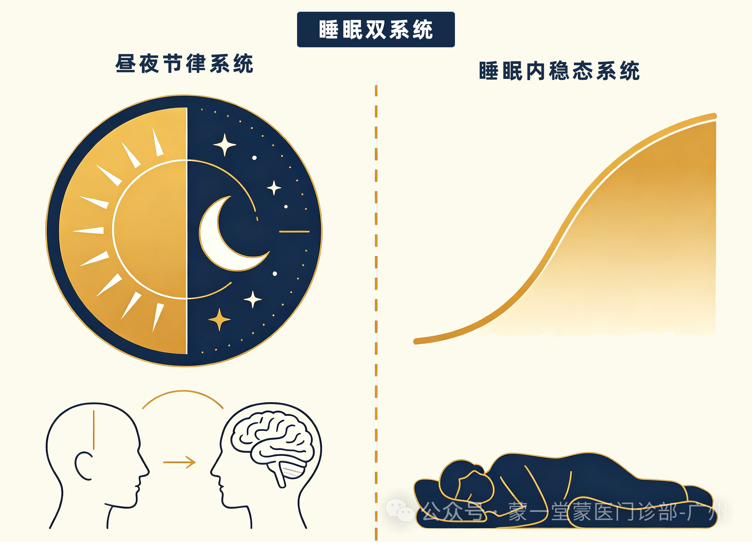 越累越睡不着?一份从循证医学到蒙医赫依理论的失眠实用参考