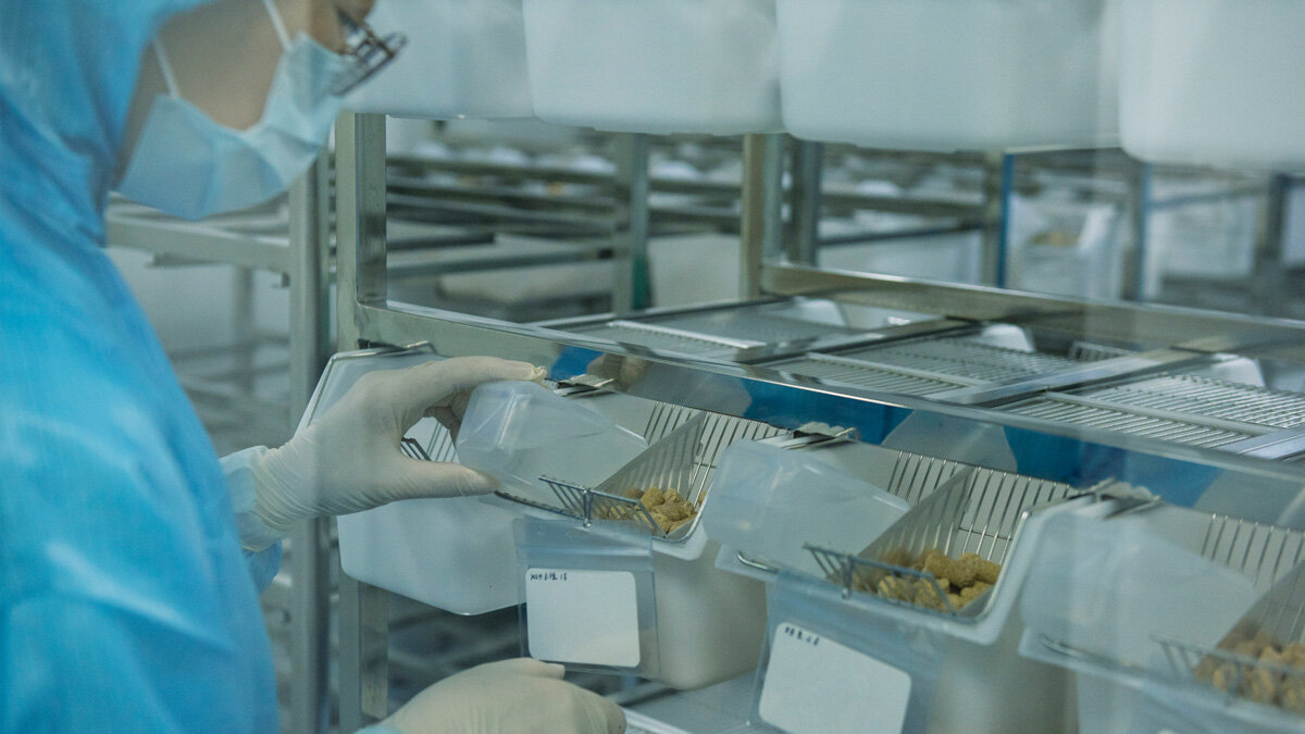 Food Processing Industry Solutions