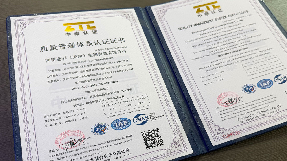 ISO9001 Certificate