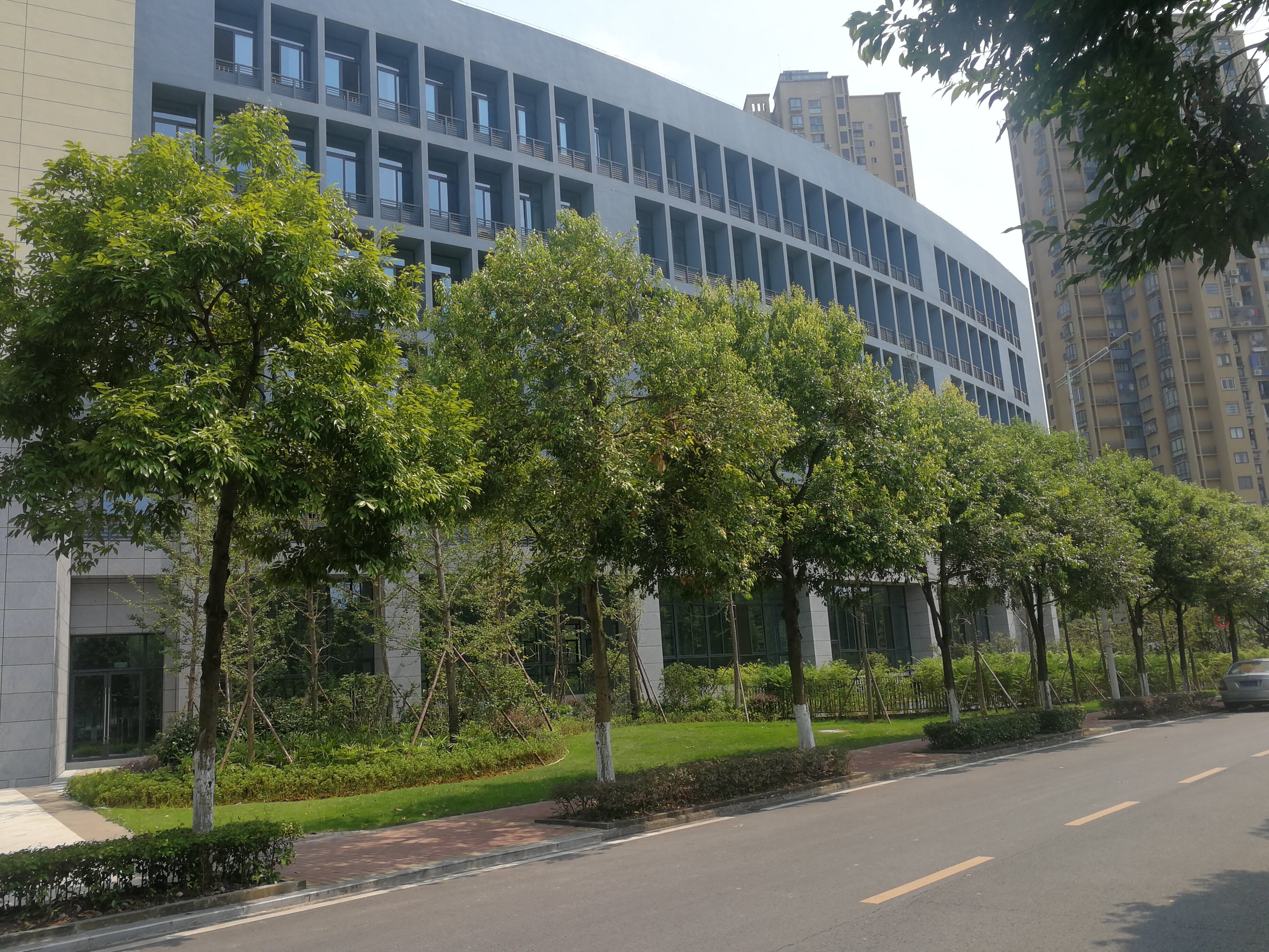 重庆财经外贸学院永川校区 - 图2